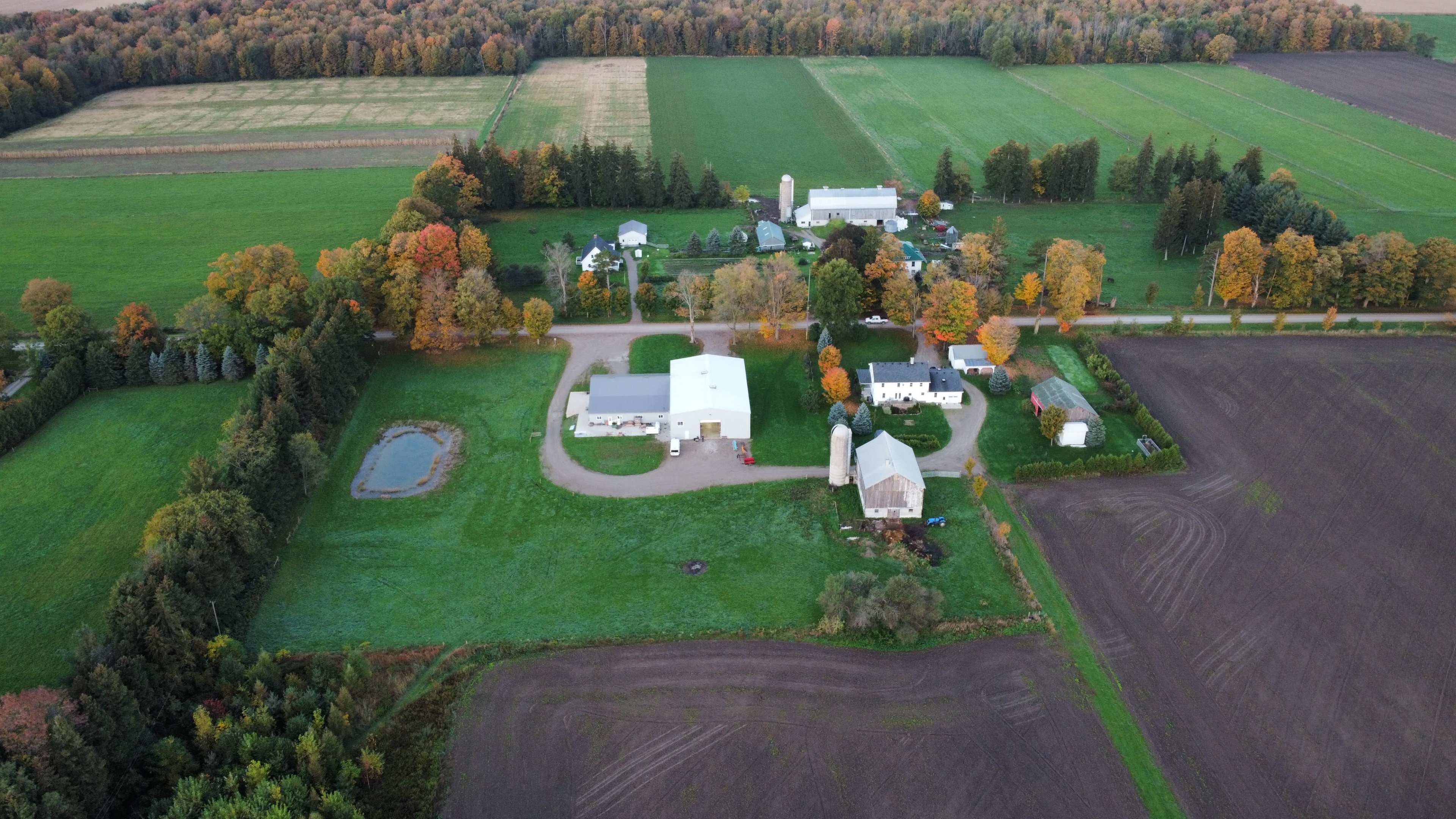 An aerial view of a rural property with a main farmhouse, multiple outbuildings, and fields surrounded by trees displaying fall foliage.
