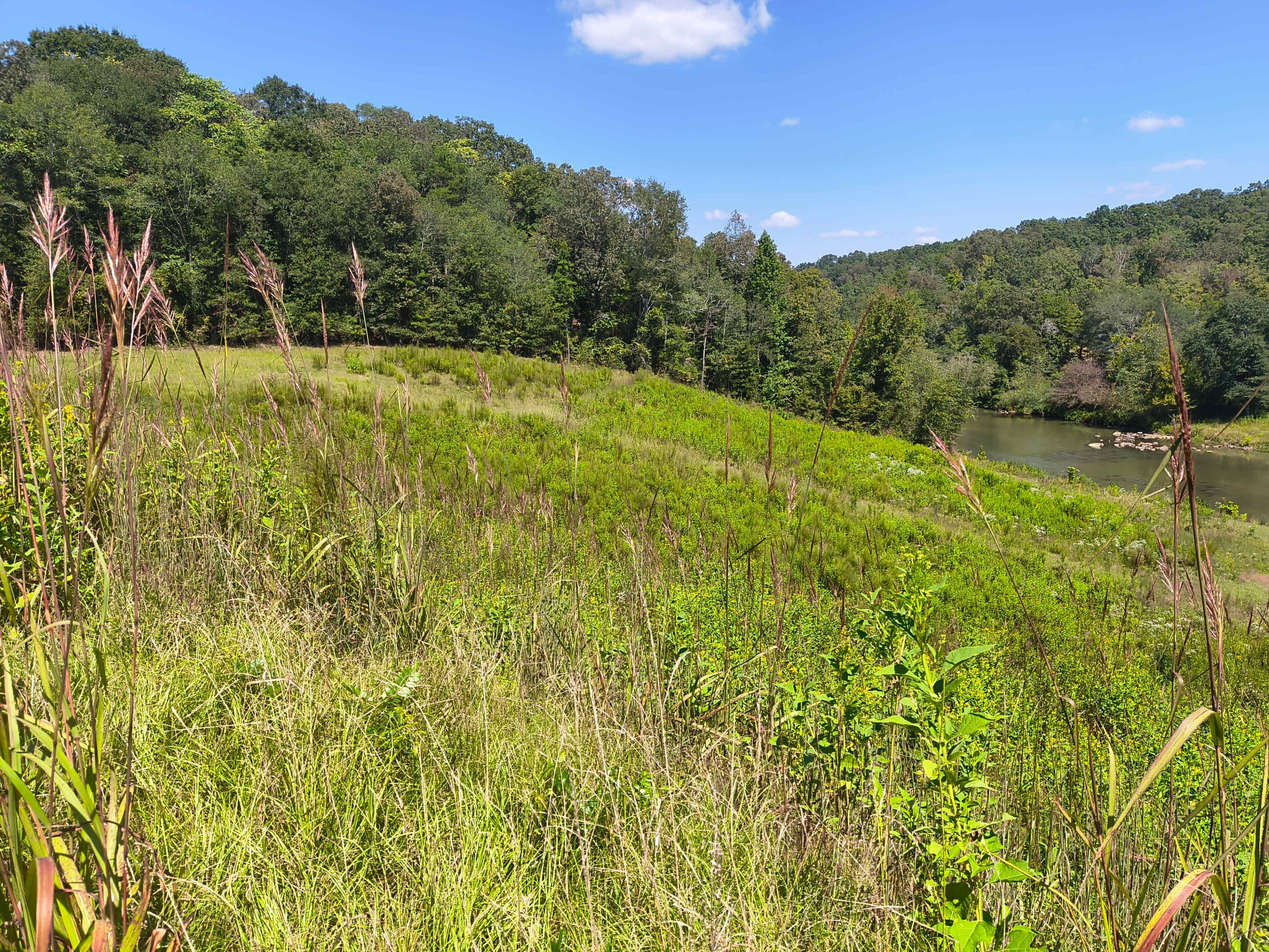 Broad River Property Image in , Comer, GA