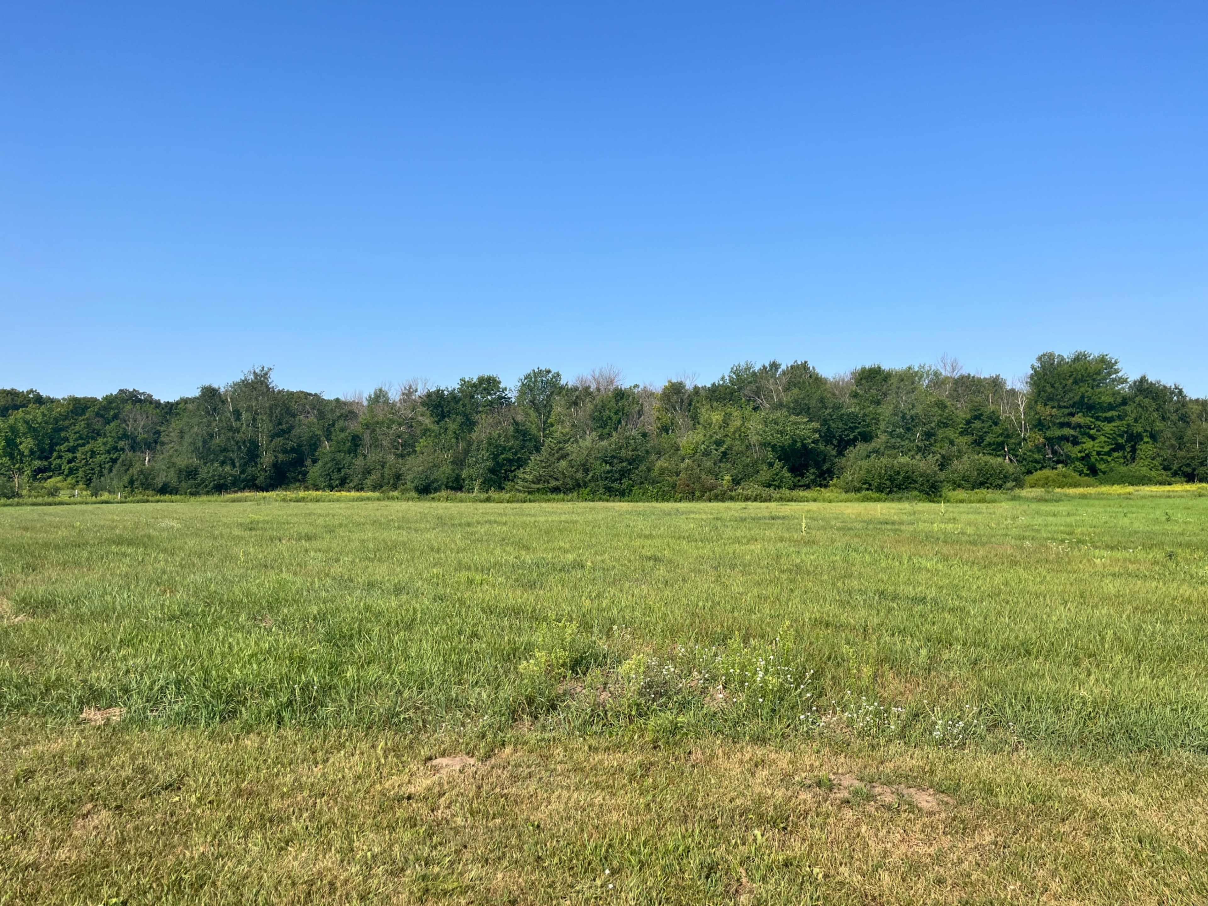 A wide expanse of green grass stretches out towards a treeline under a clear blue sky.