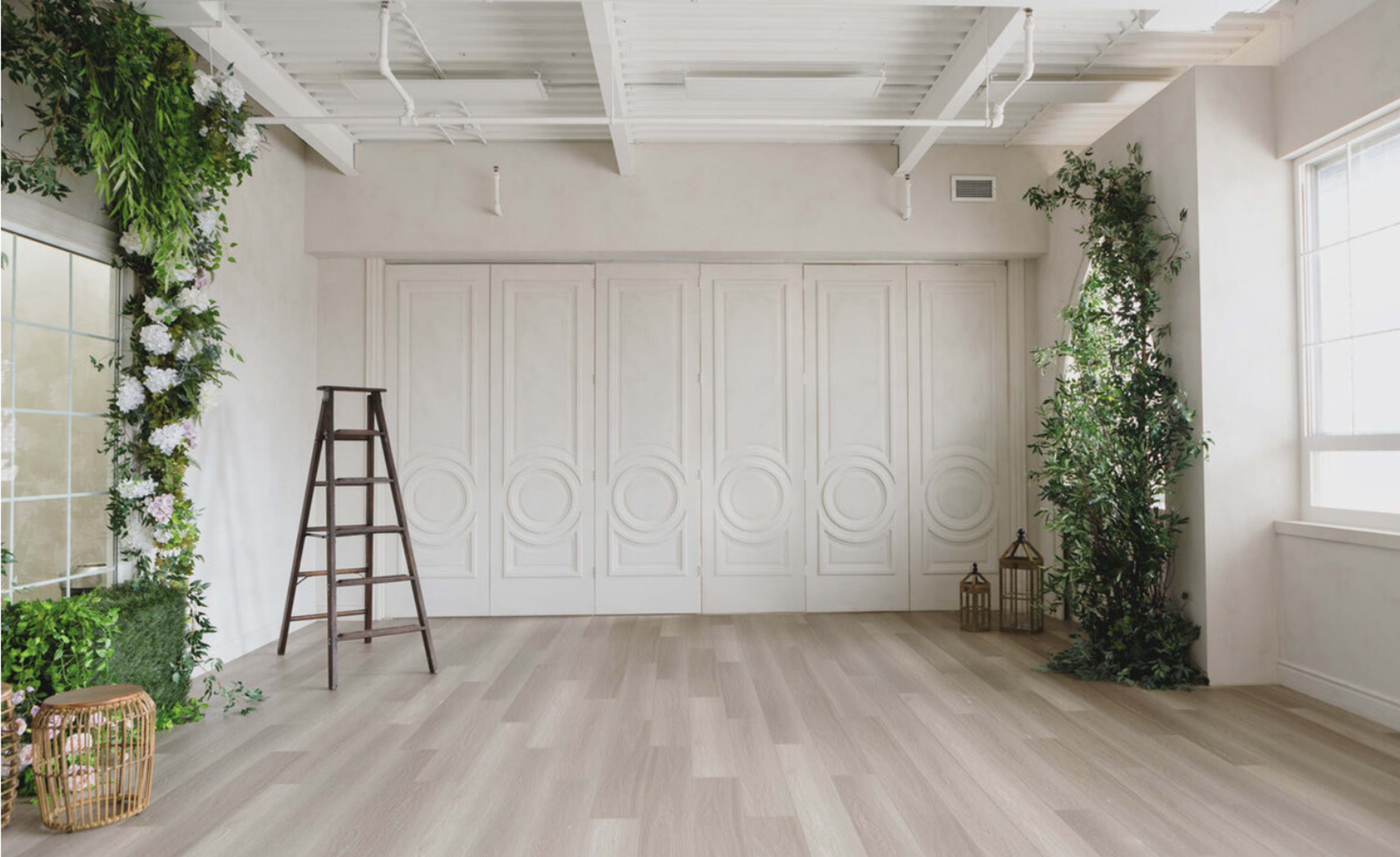A bright, empty room features a wooden ladder and greenery alongside a mirrored wall and a set of white panel doors.