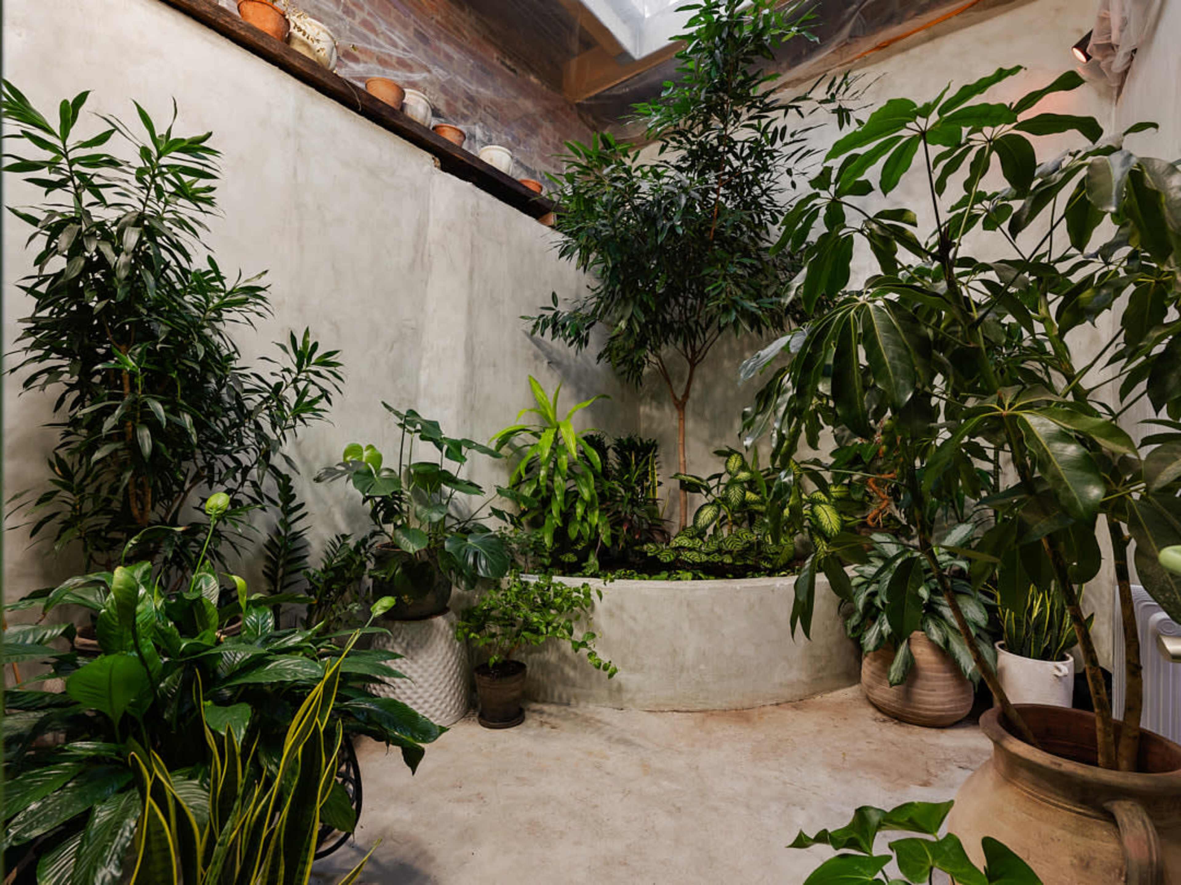The image depicts a small indoor garden featuring a variety of plants arranged around a circular planter in a room with concrete walls and a skylight.