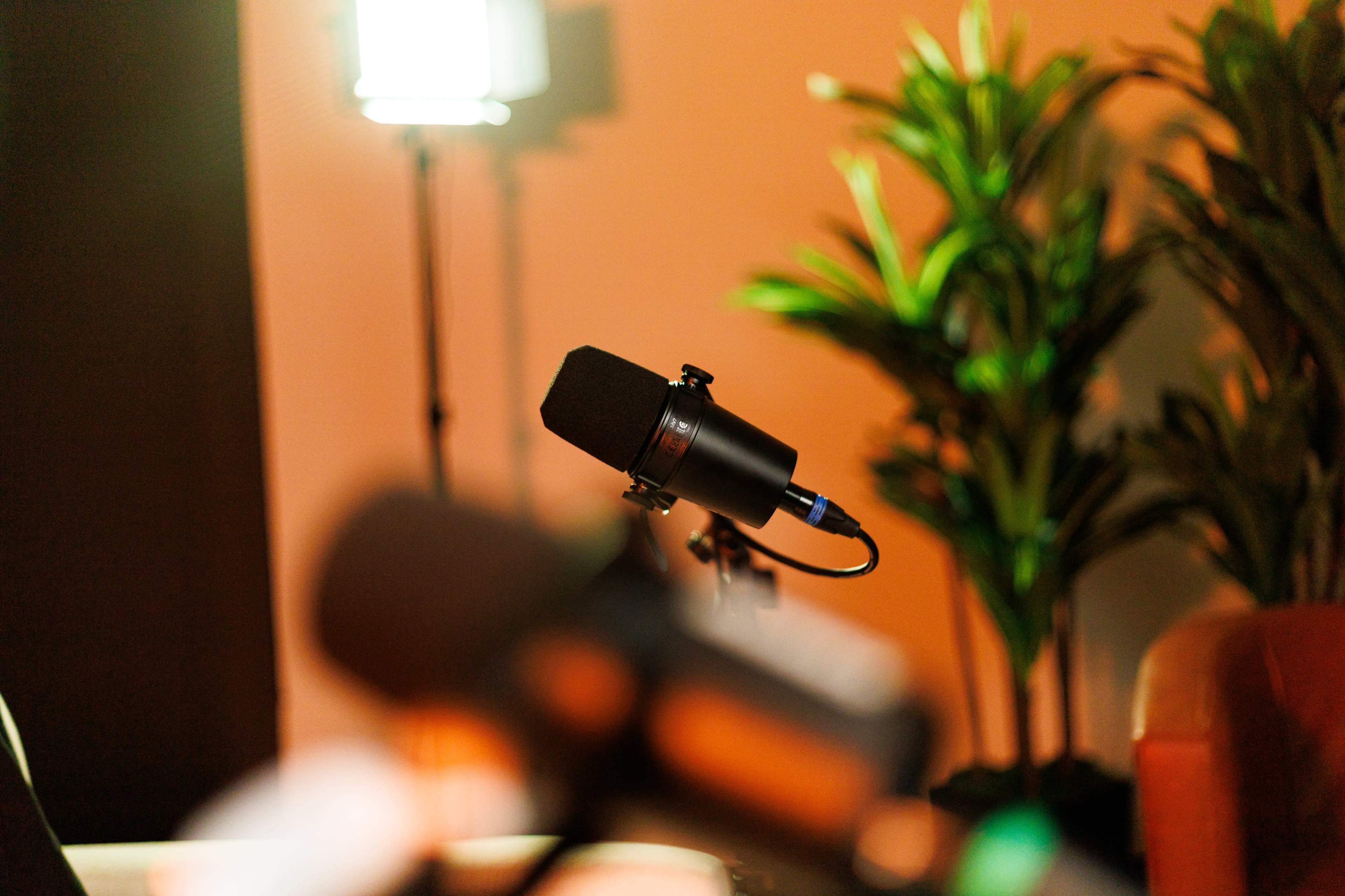 The image shows a microphone in the foreground with a blurred background featuring a lamp and plants.