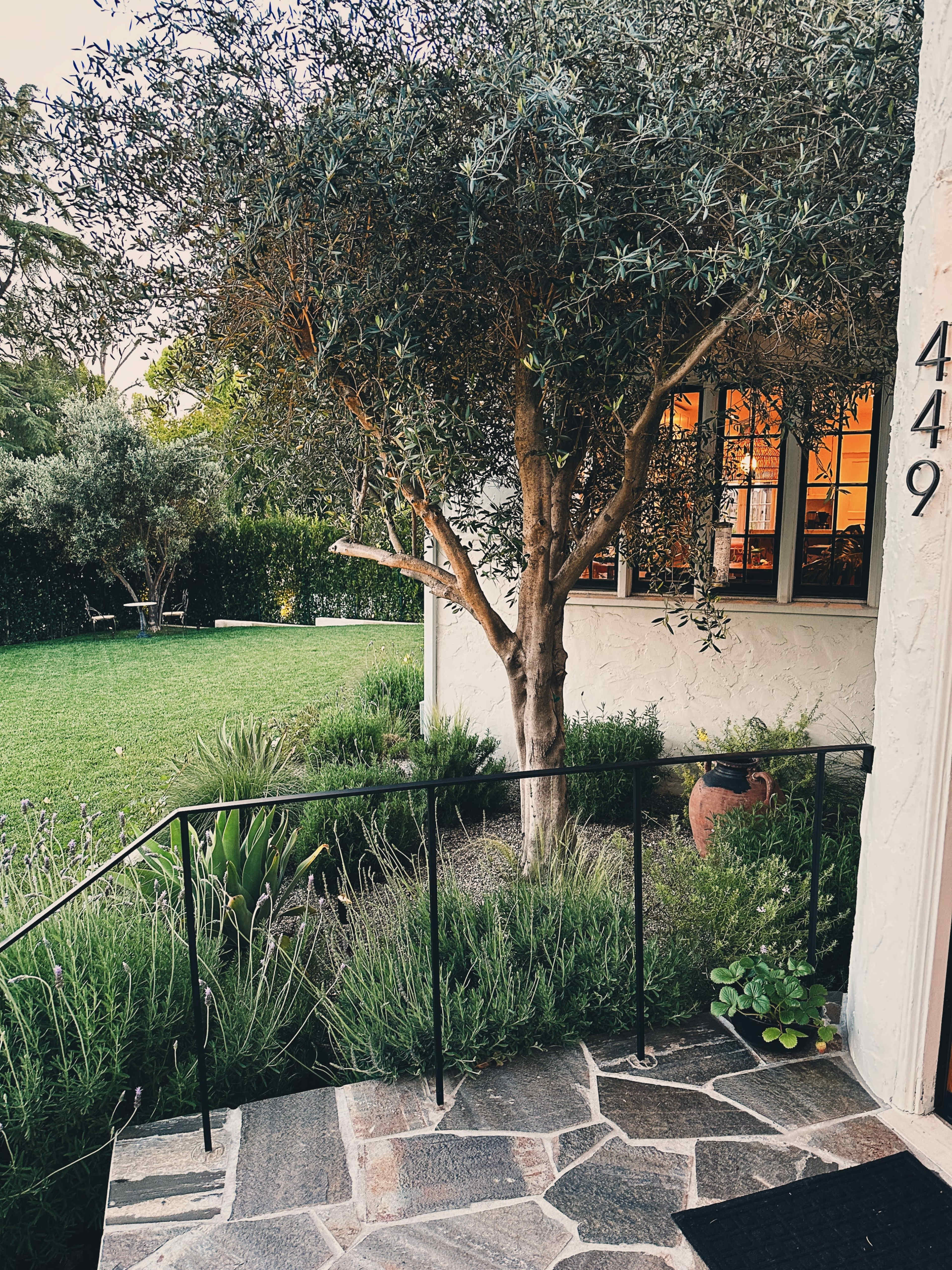 A stone pathway leads to a residence with a porch, surrounded by greenery, including a tree and various plants.