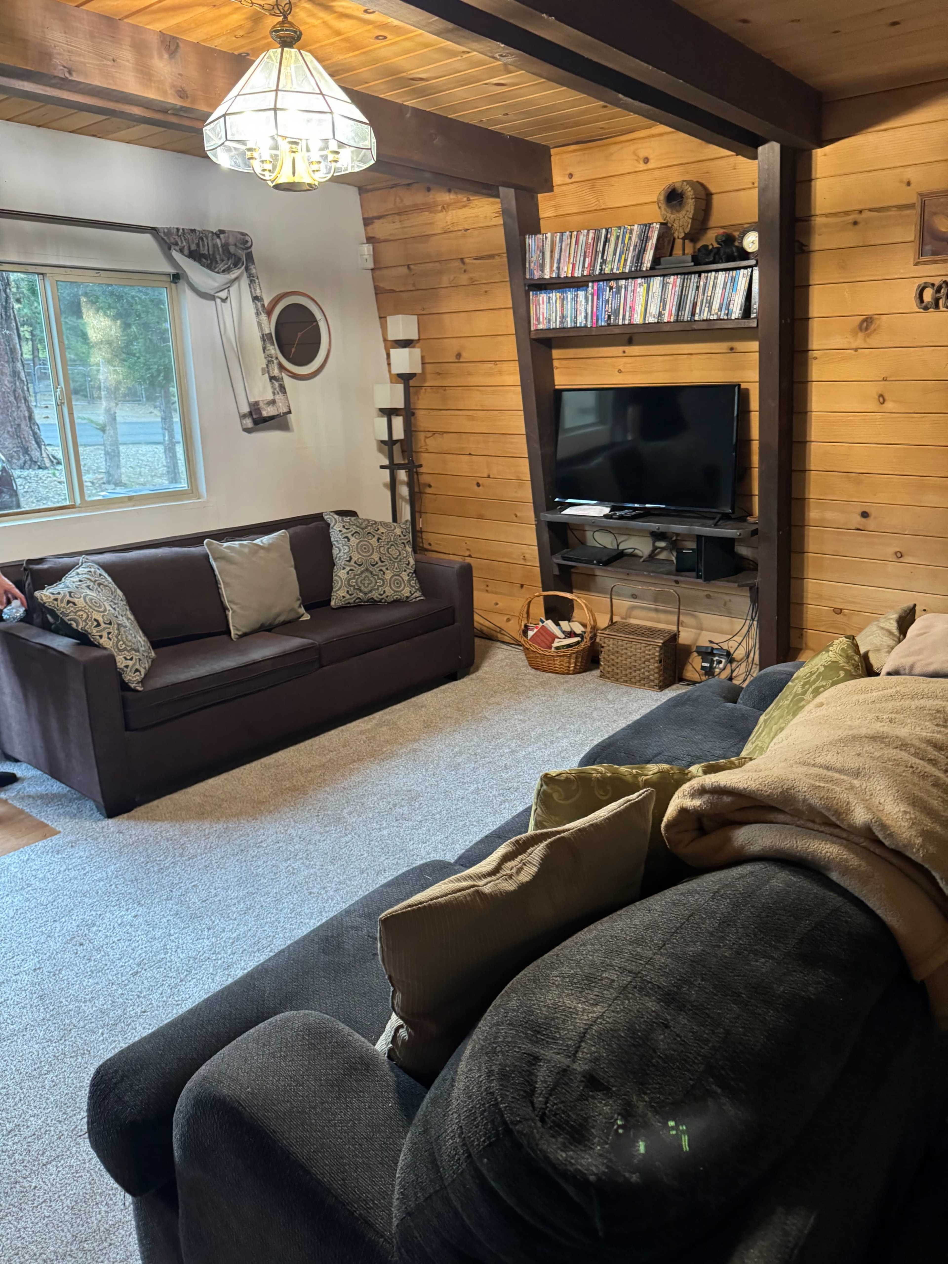 A cozy living room features two sofas, a television on a wooden stand, and shelves filled with DVDs against a wall of wooden paneling.