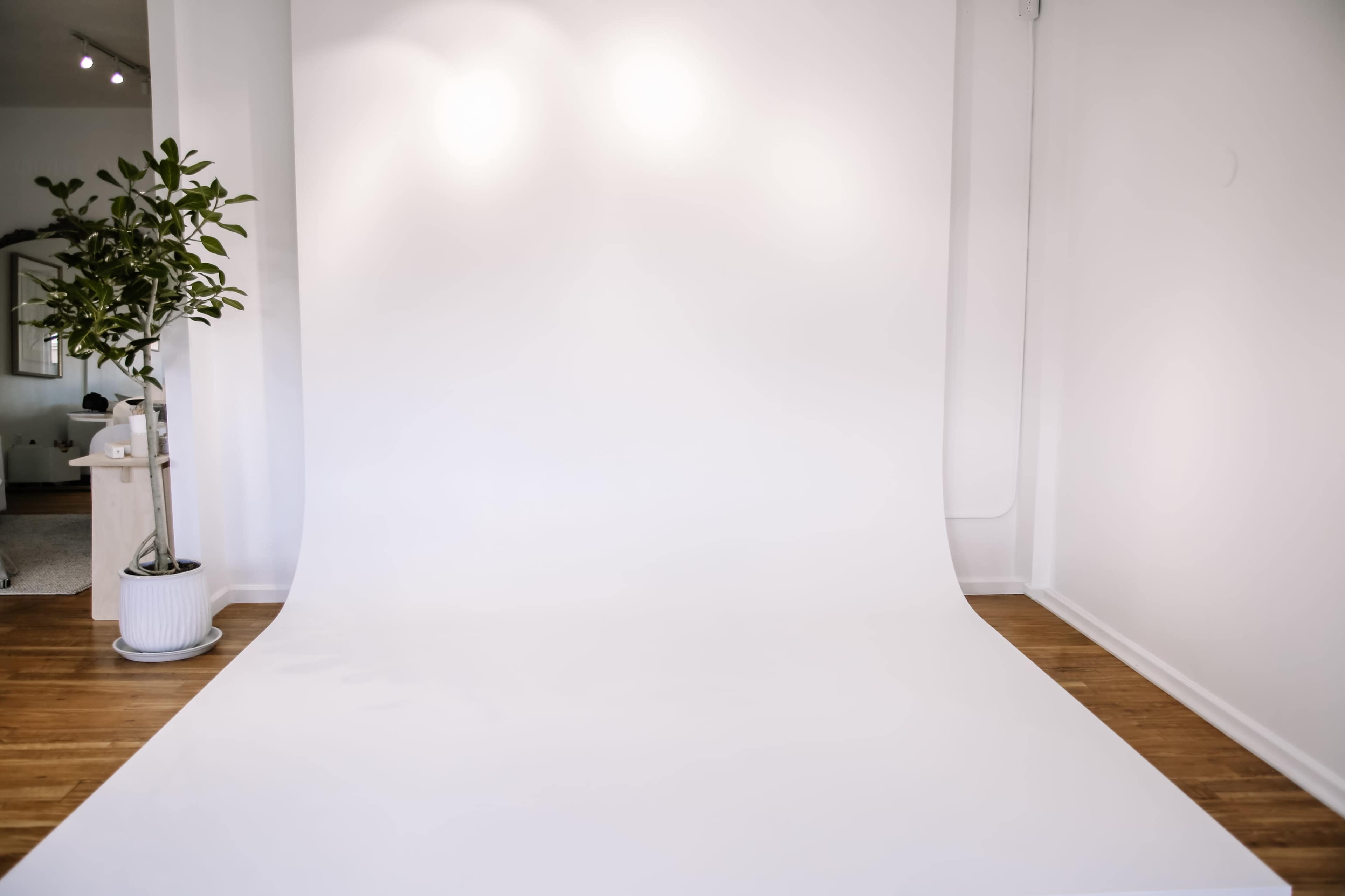 The image shows a bright, empty room with a smooth, white backdrop and wooden flooring, complemented by a potted plant in the corner.