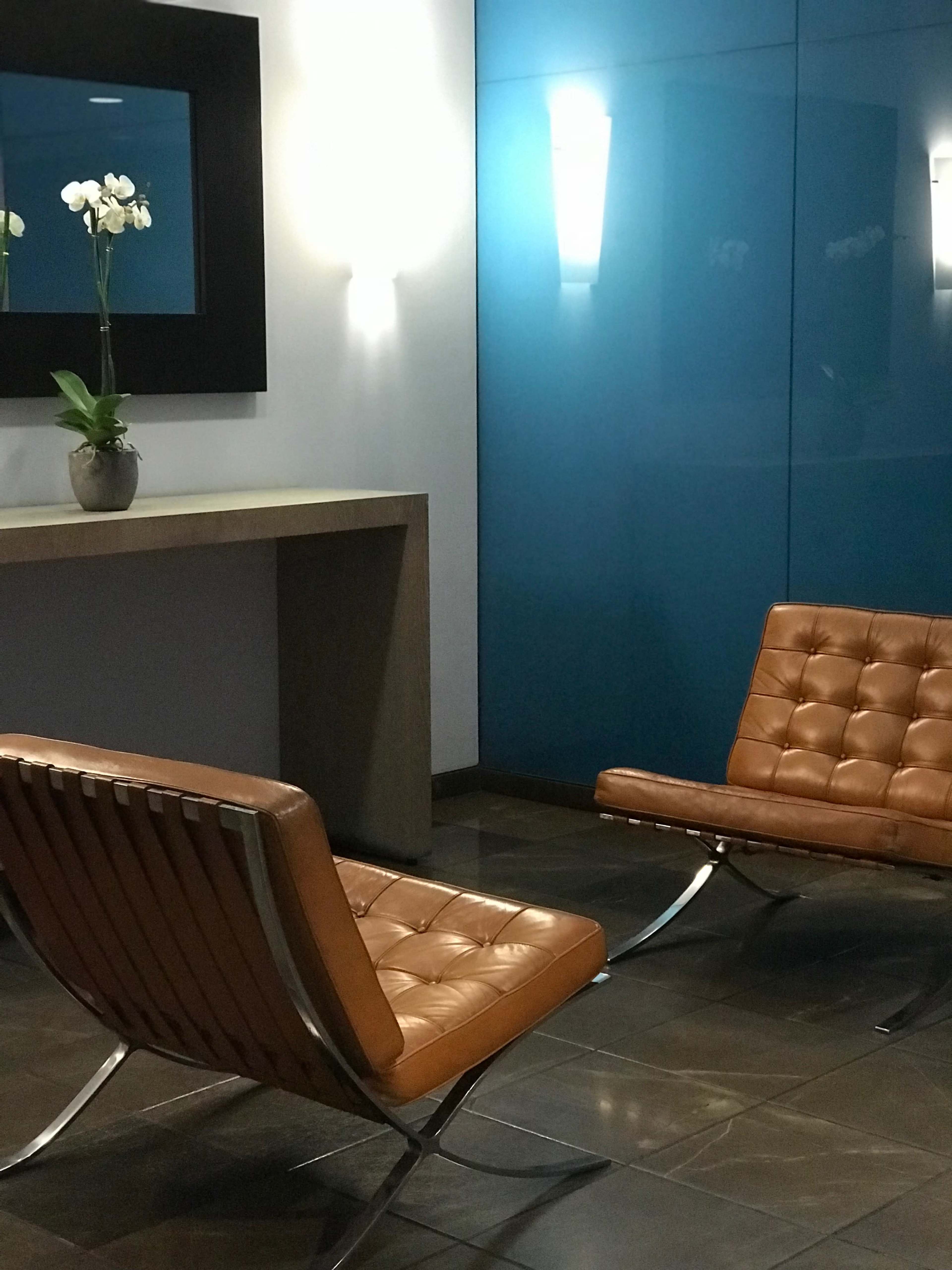 Two brown leather chairs positioned near a blue wall and a floral arrangement in a pot on a countertop.