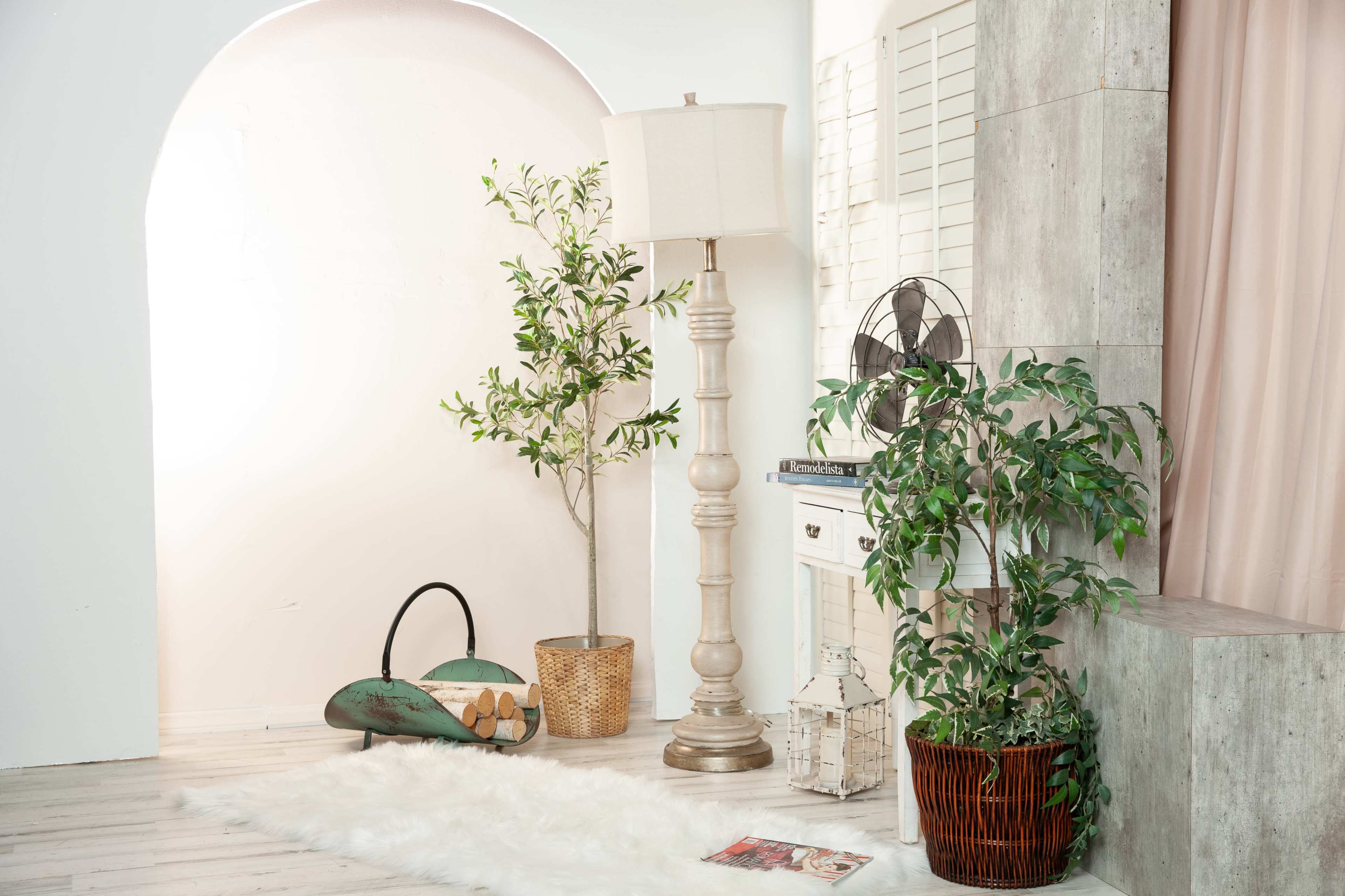 The scene features a well-lit room with a tall lamp, potted plants in woven baskets, and a small fan beside a decorative wall.