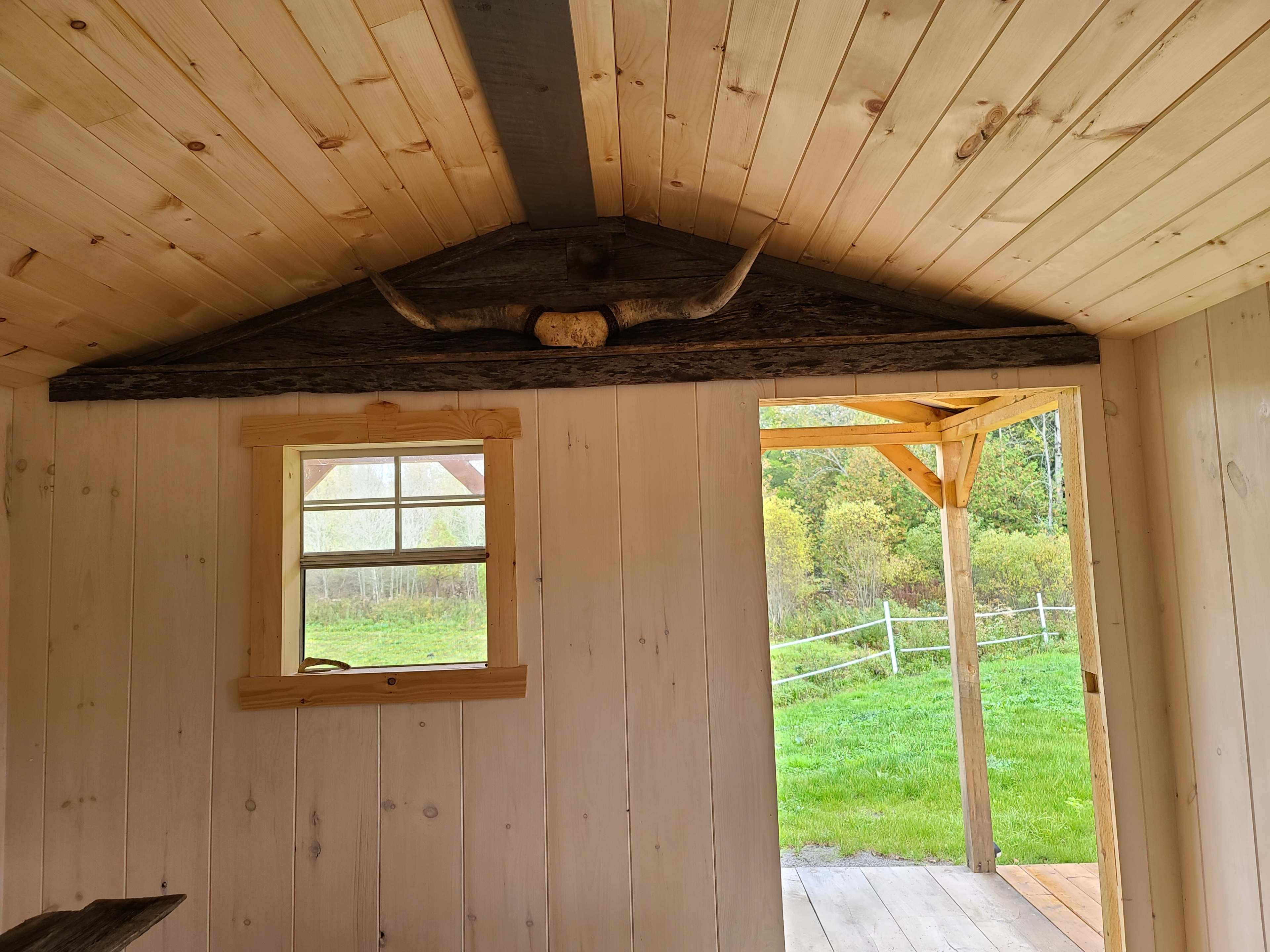 The interior of a wooden structure features a wooden beam with a pair of bullhorns mounted above a window, while a door opens to a grassy outdoor area.