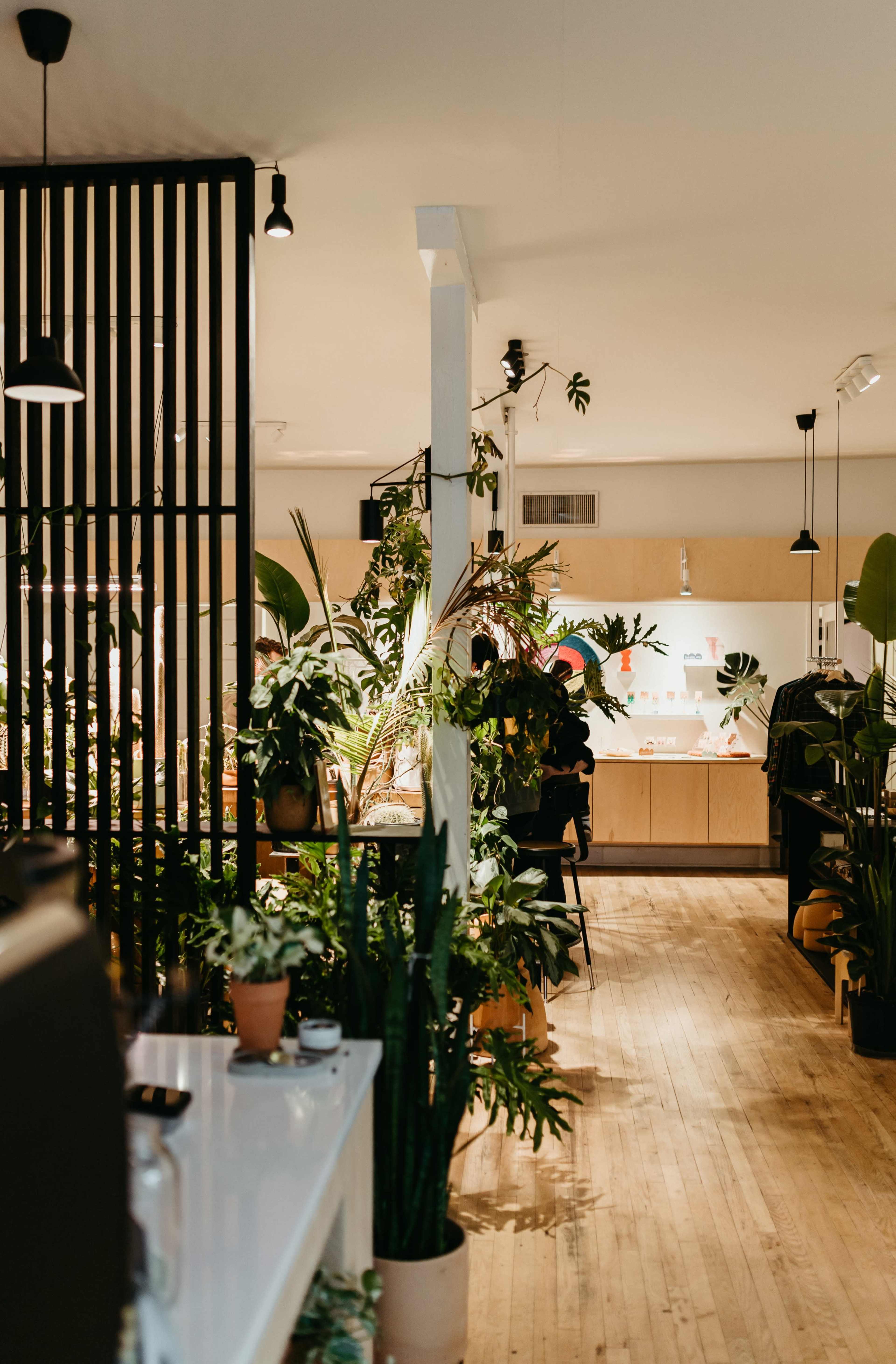 The image shows a plant-filled interior of a modern space with wooden flooring, featuring a café area on one side and various leafy plants throughout.
