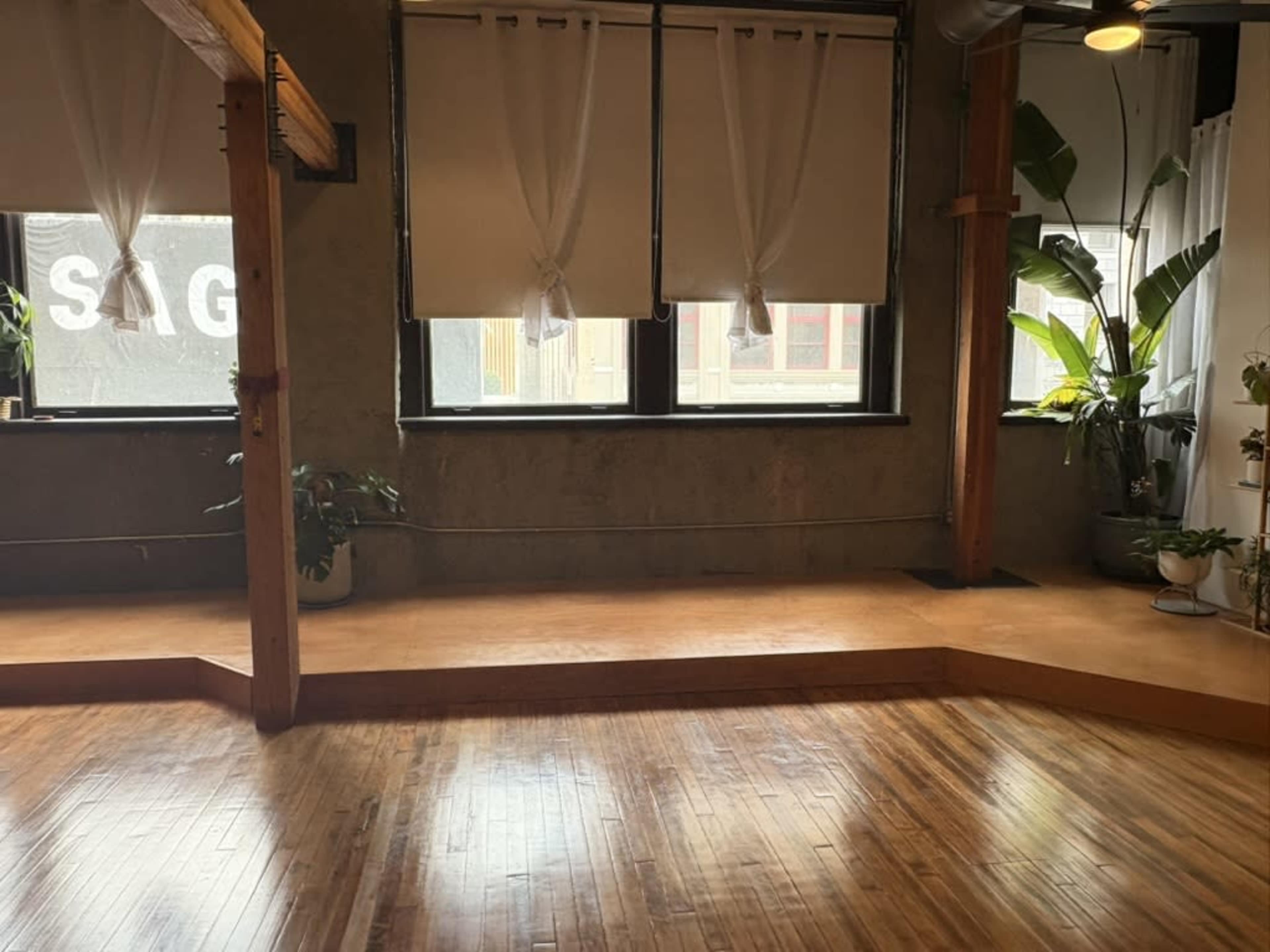 The image shows a spacious room with wooden flooring, large windows covered by sheer curtains, and potted plants along the walls.