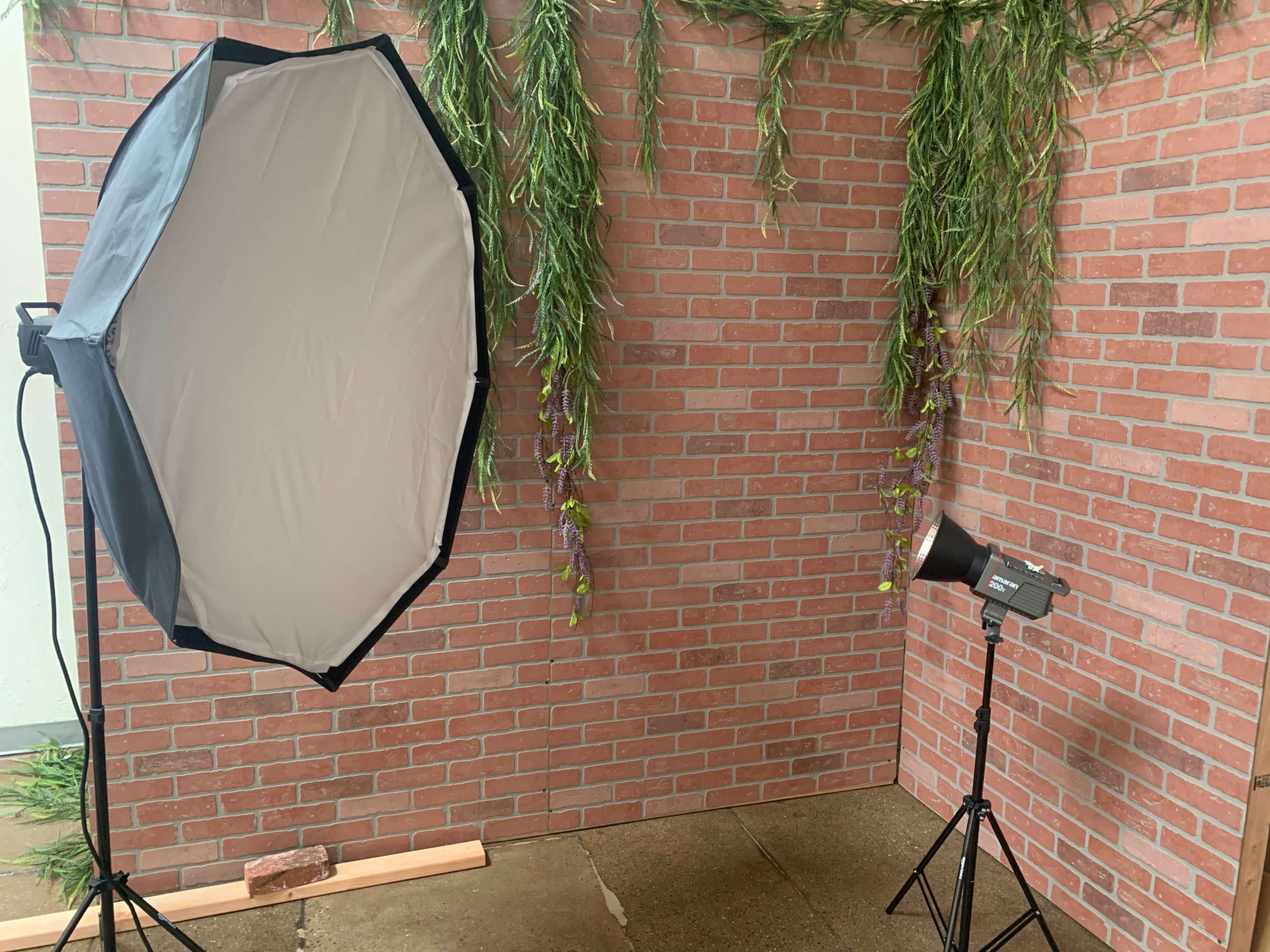 The image shows a photography setup with a large softbox and a spotlight positioned in front of a brick wall adorned with hanging greenery.
