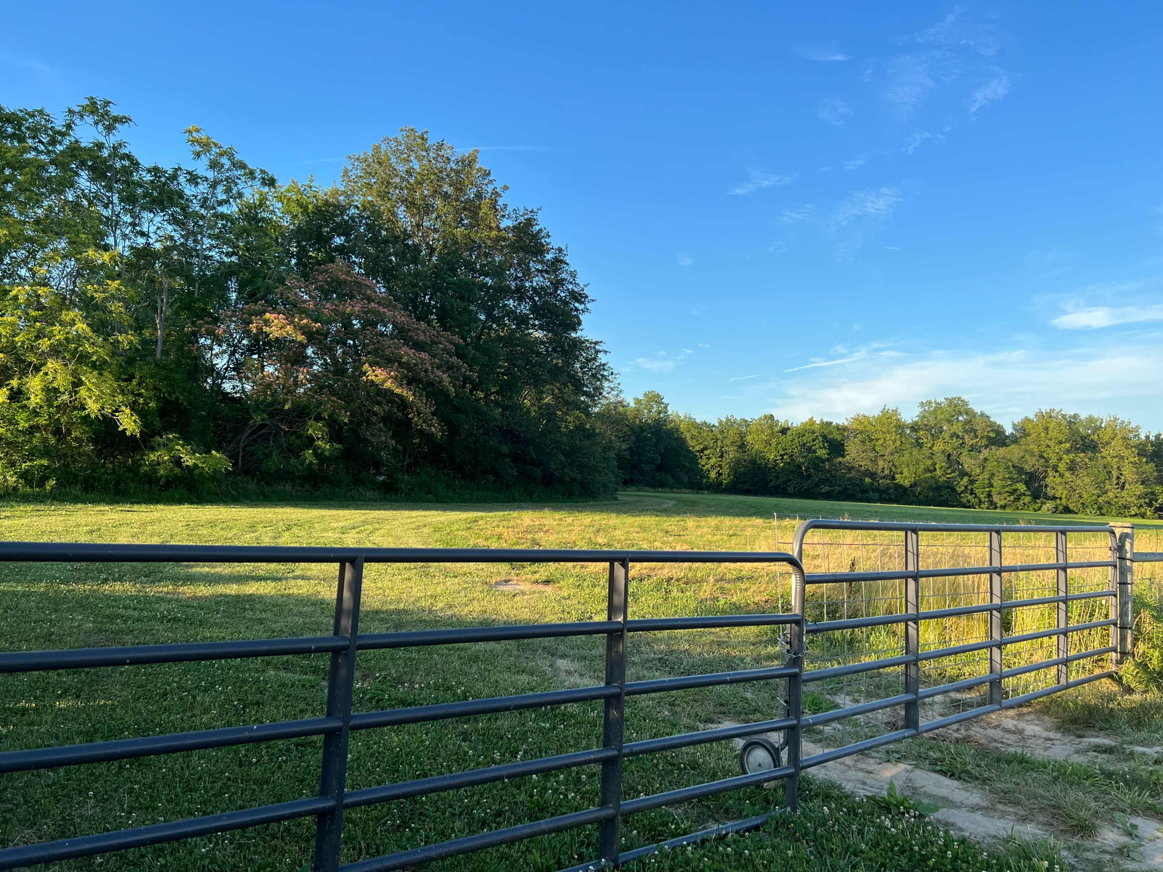 A metal gate stands open next to a grassy field bordered by trees under a clear blue sky.
