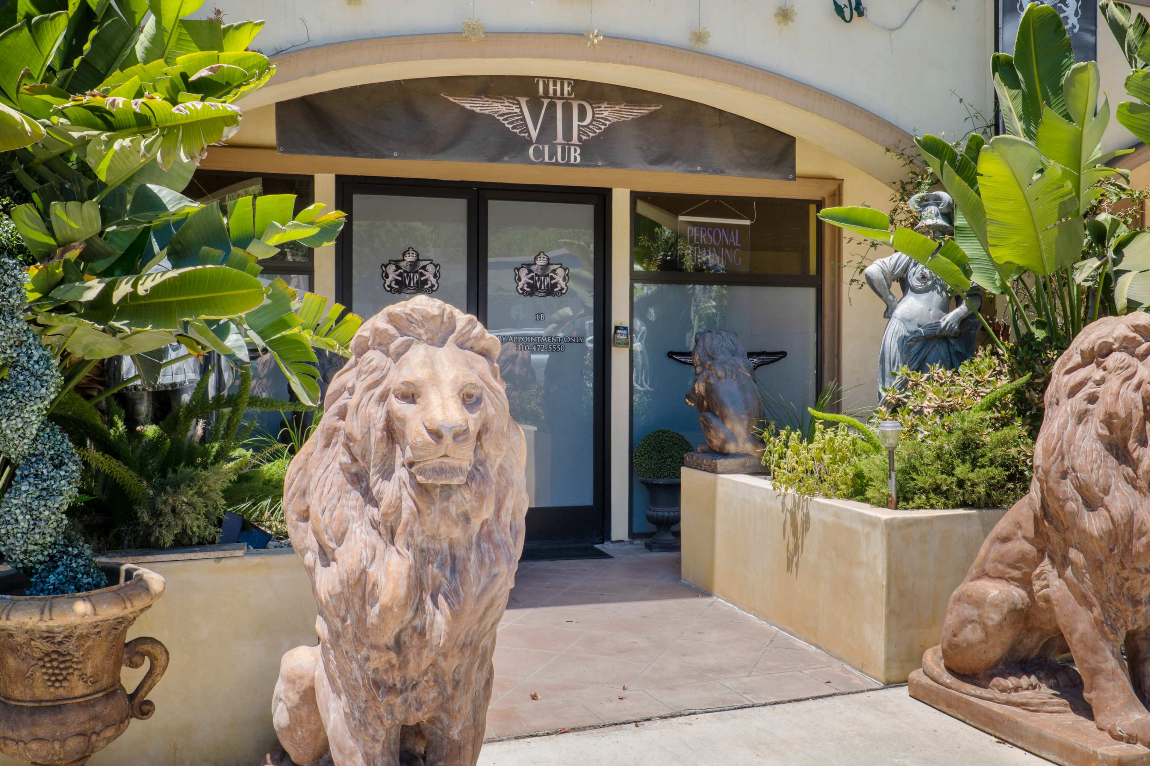 The entrance of The VIP Club features stone lion statues flanking the doorway, surrounded by lush greenery and decorative elements.