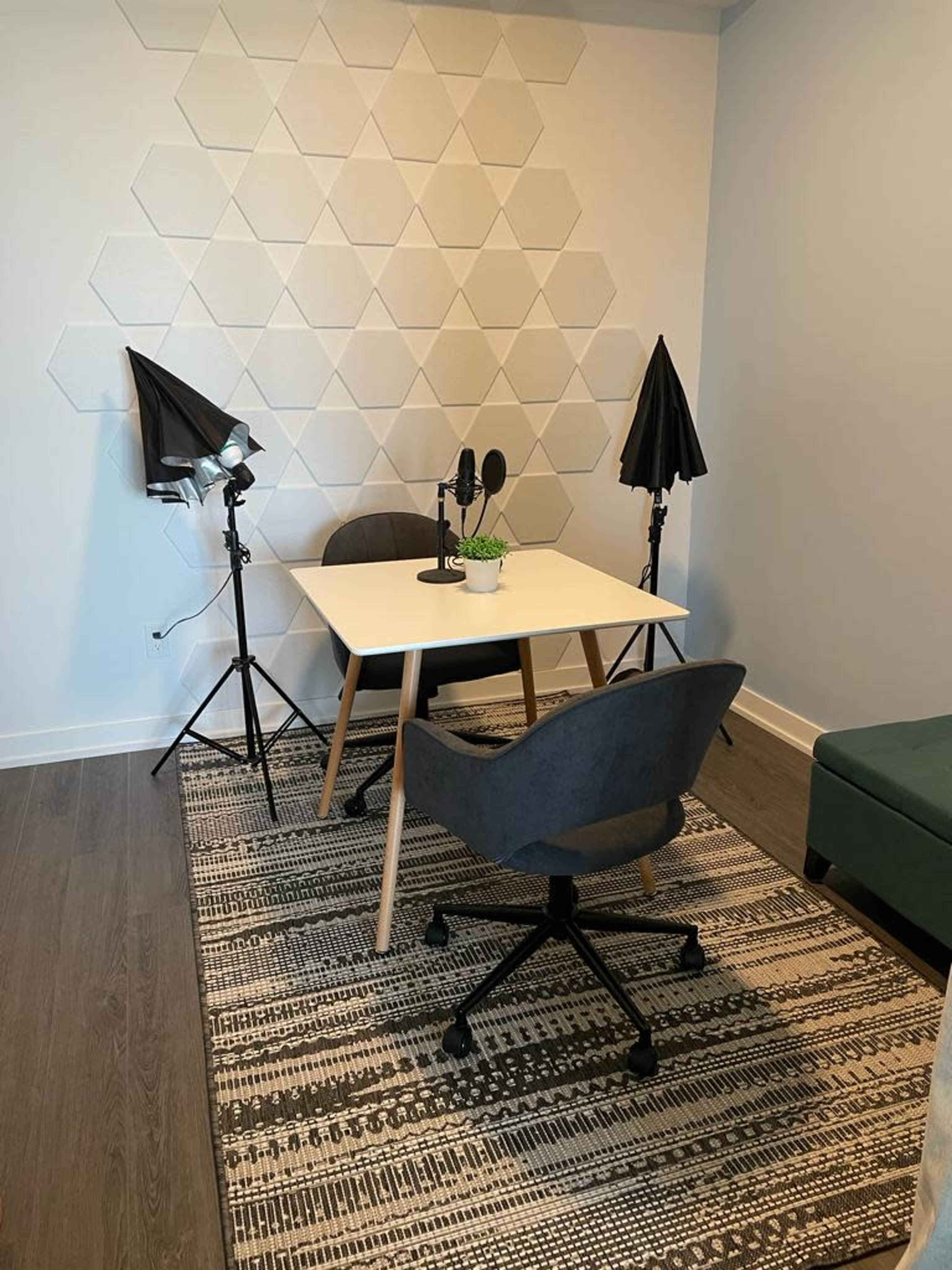 A small recording studio setup with a table, two microphones on stands, and two softbox lights, surrounded by a patterned rug and a plant.