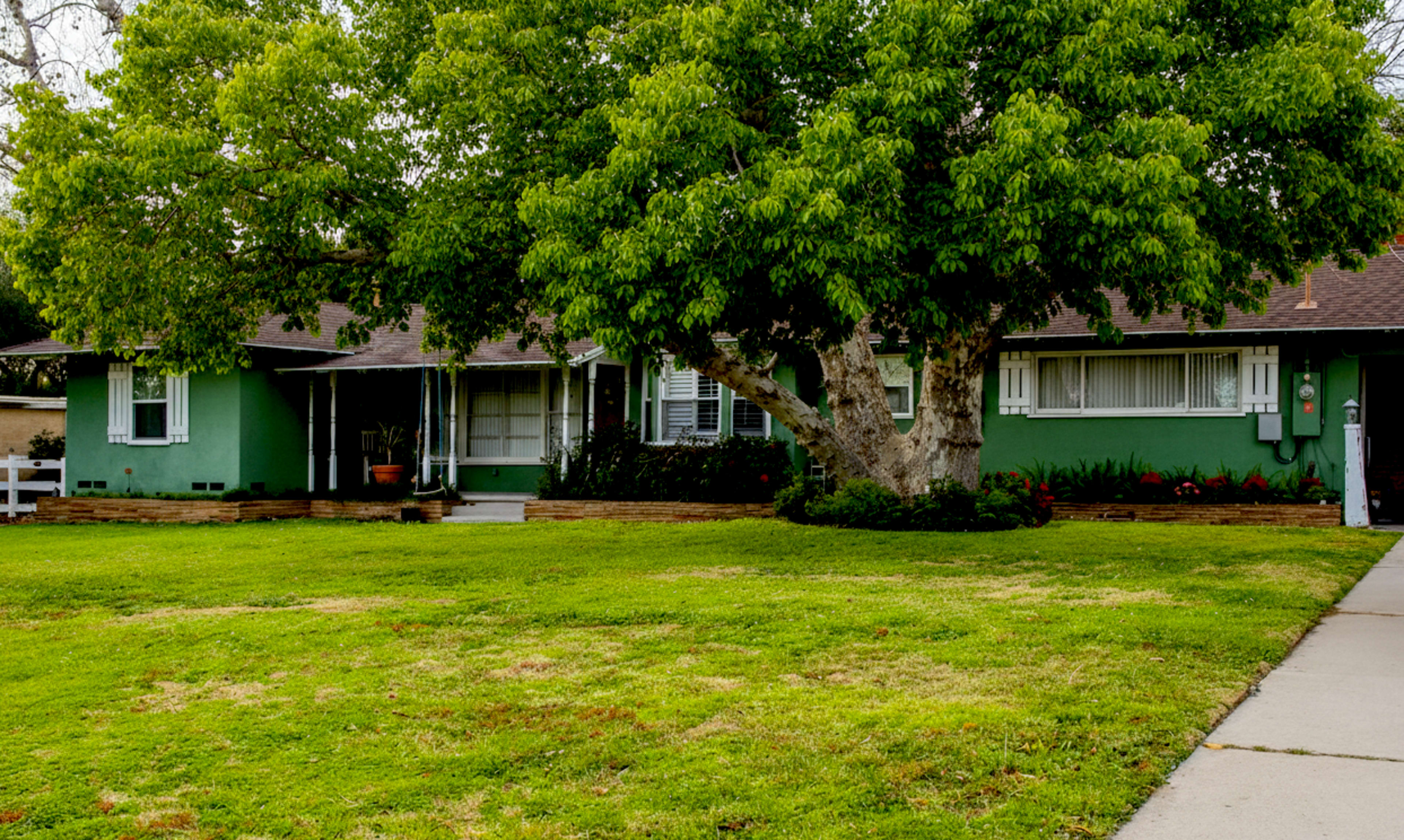 A single-story green house with a large tree in the front yard is surrounded by a well-maintained lawn.