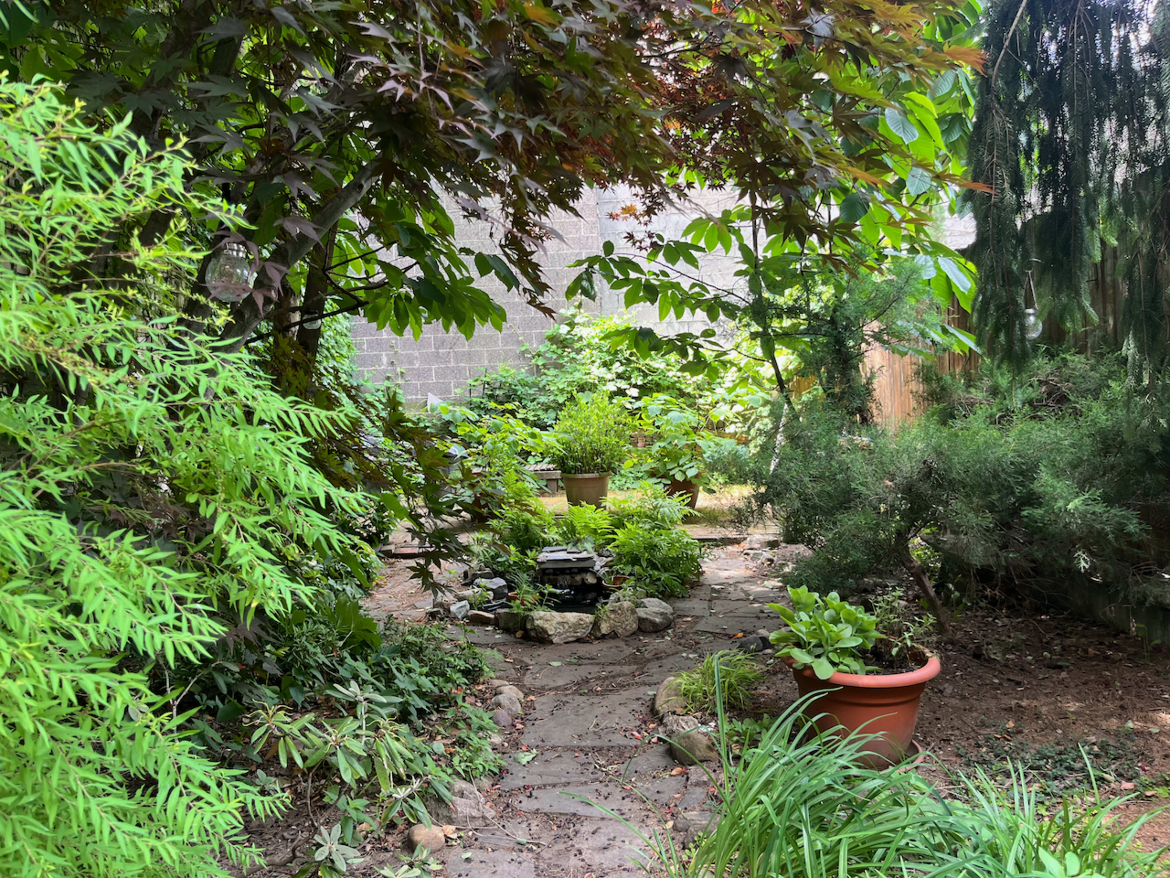 The image shows a lush garden pathway lined with stone, surrounded by various plants and trees, leading to a central arrangement of potted greenery.