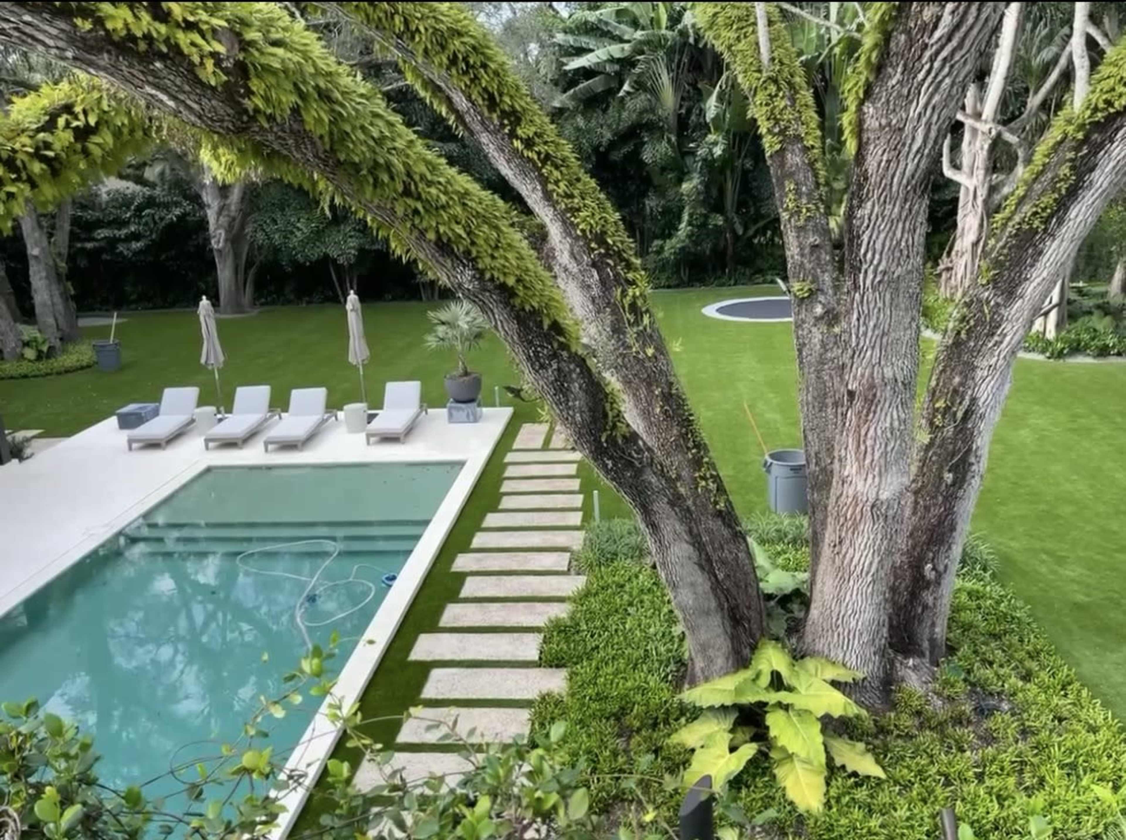 The image shows a modern pool area with lounge chairs, stone pathways, and lush greenery beside a large tree.