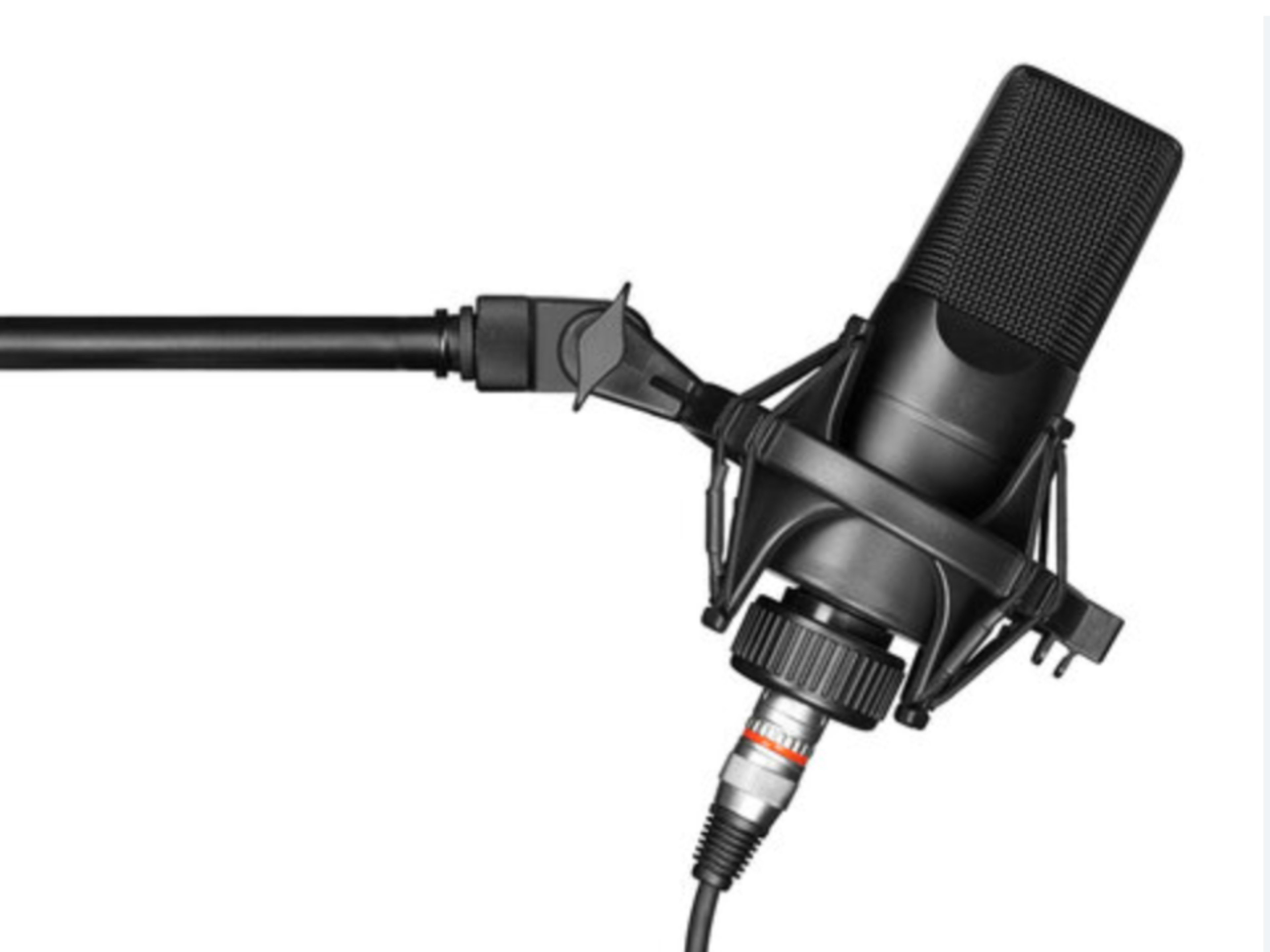 Additional Podcast Microphone