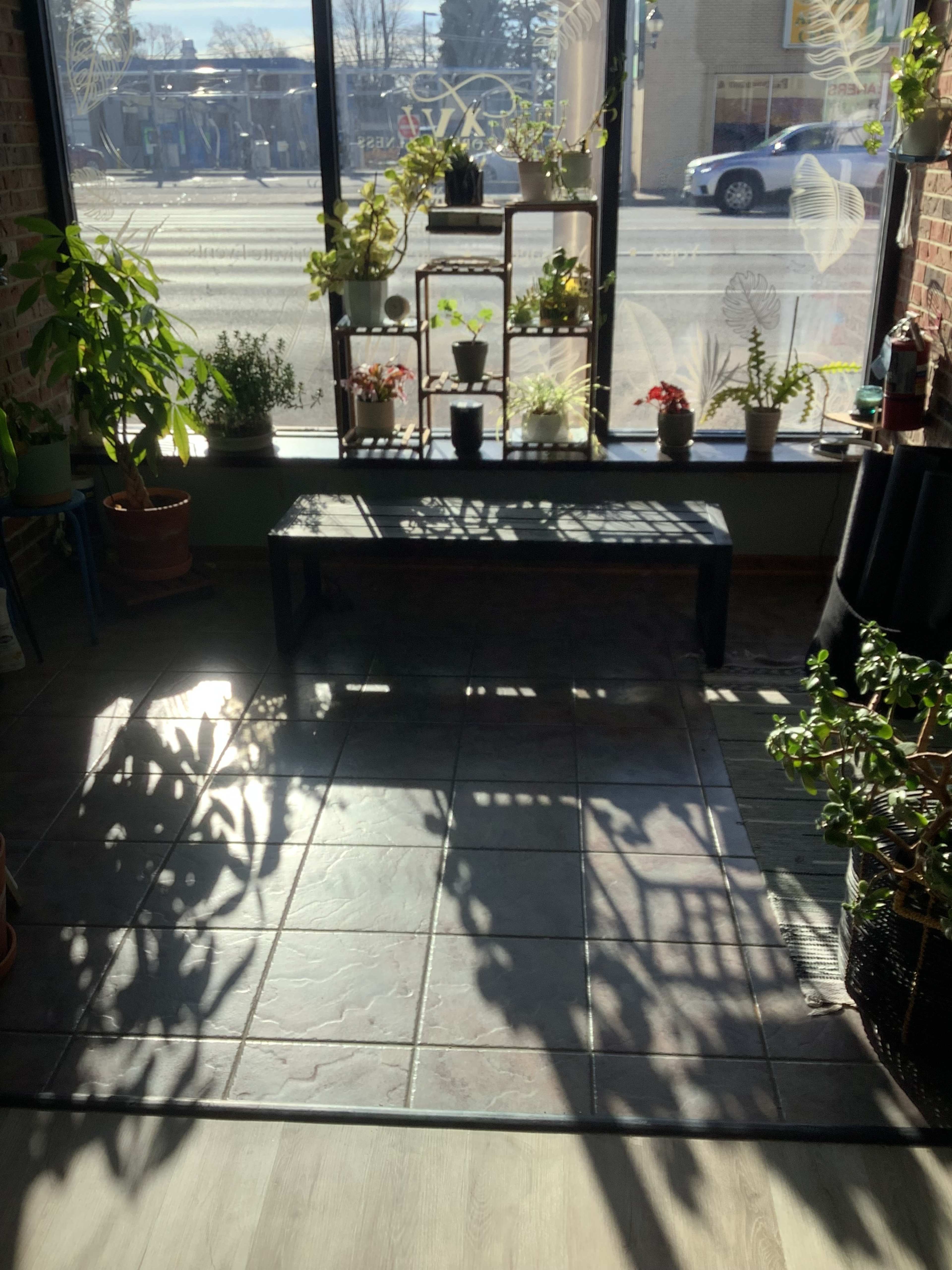 The image shows a sunlit interior space with a tiled floor, a display of potted plants along a window, and shadows cast on the ground.