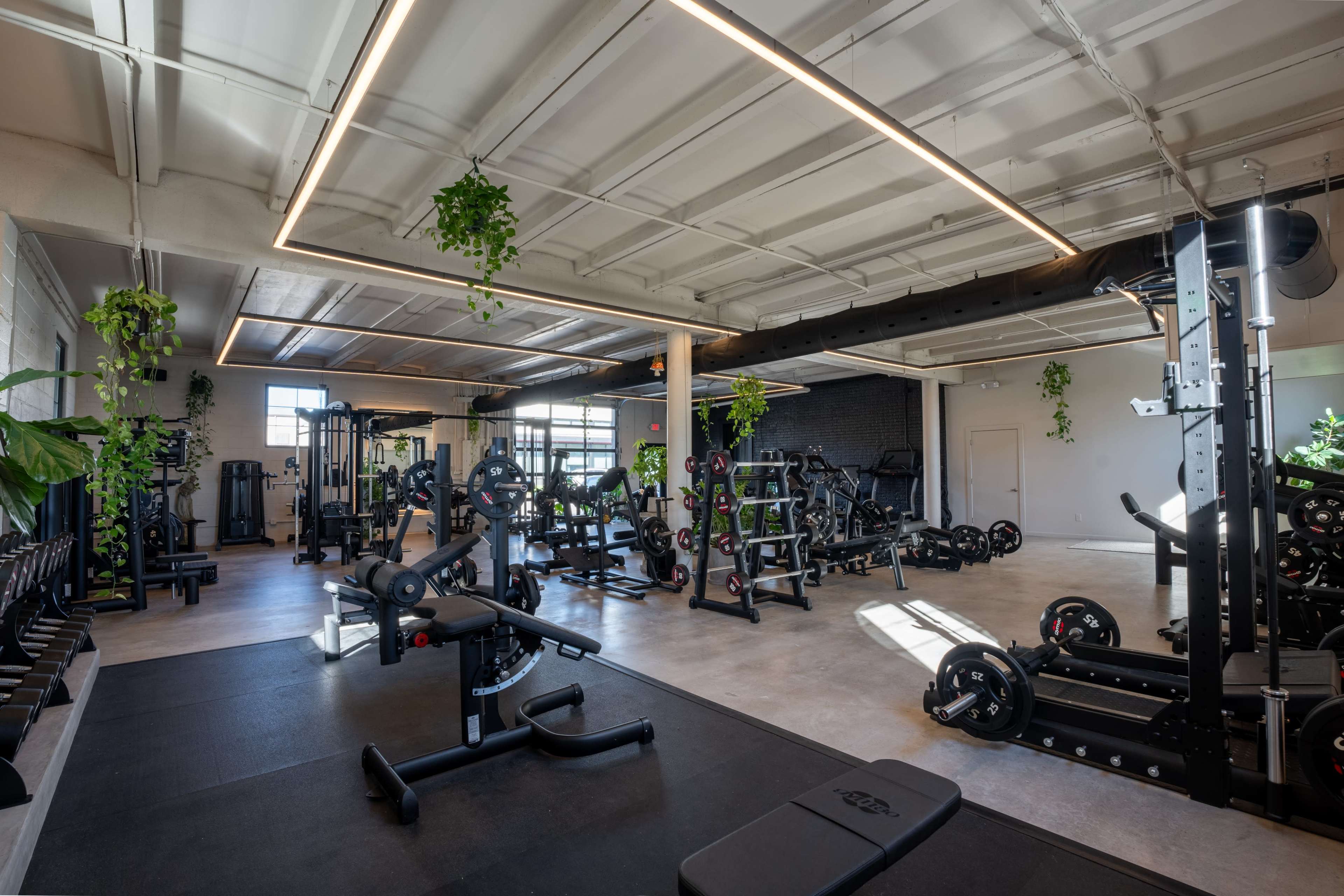 A modern gym interior featuring various workout equipment, weight benches, and plants placed throughout the space.