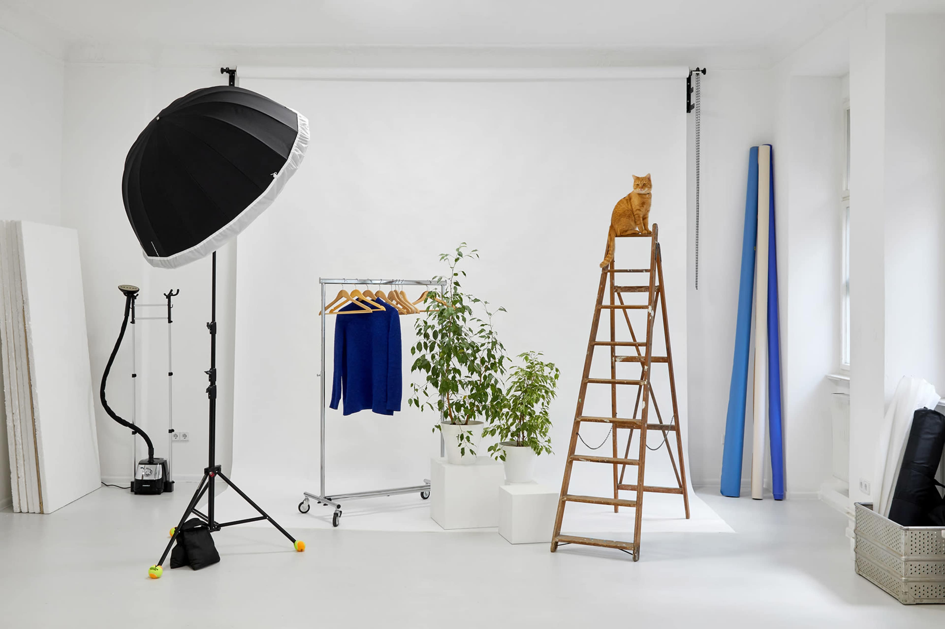 A photo studio setup features a lighting umbrella, a clothing rack with blue garments, a potted plant, and a cat perched on a wooden ladder against a white backdrop.