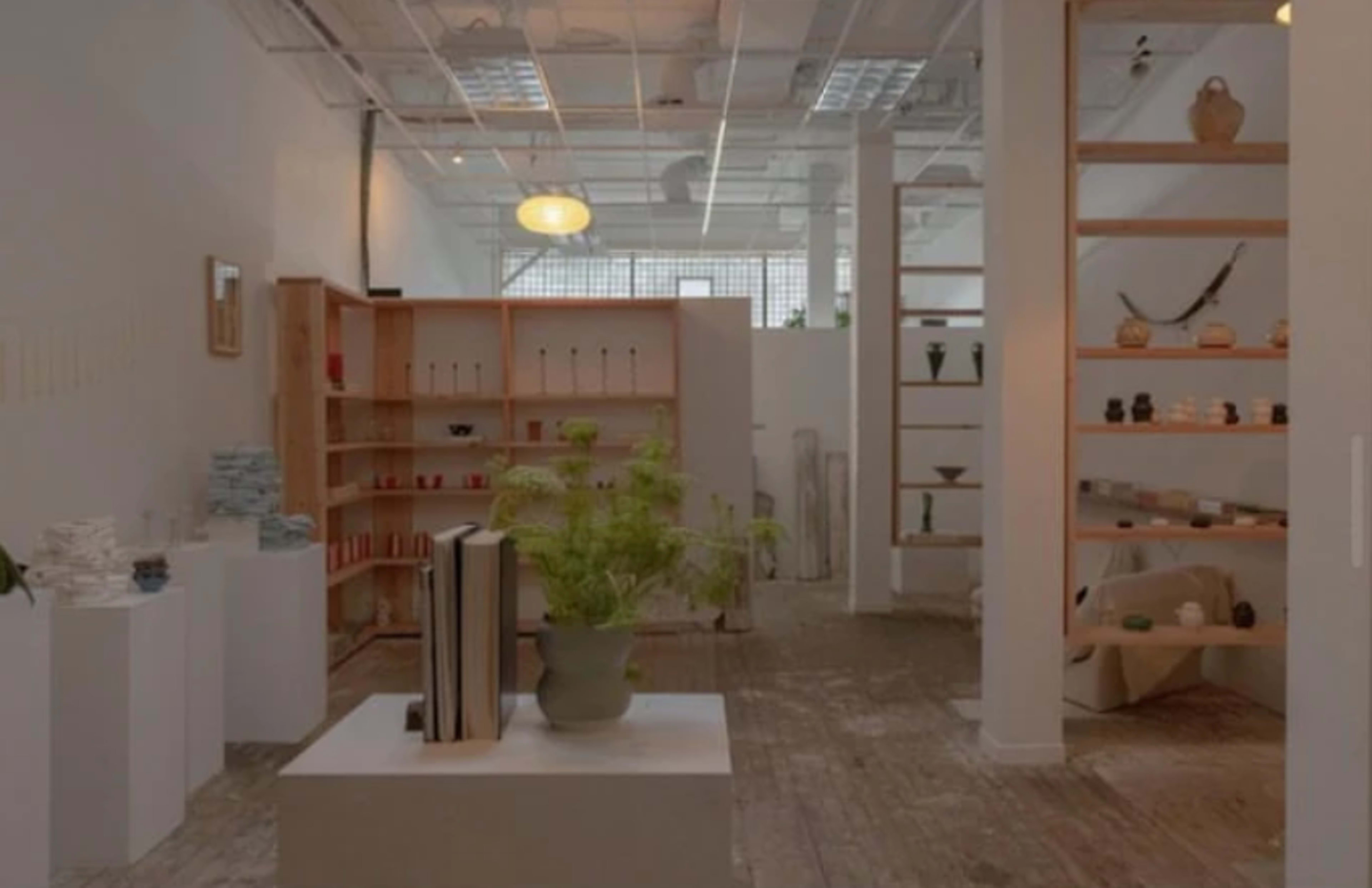 The image depicts a minimalist gallery space featuring wooden shelves, various ceramic items, and potted plants arranged on display.