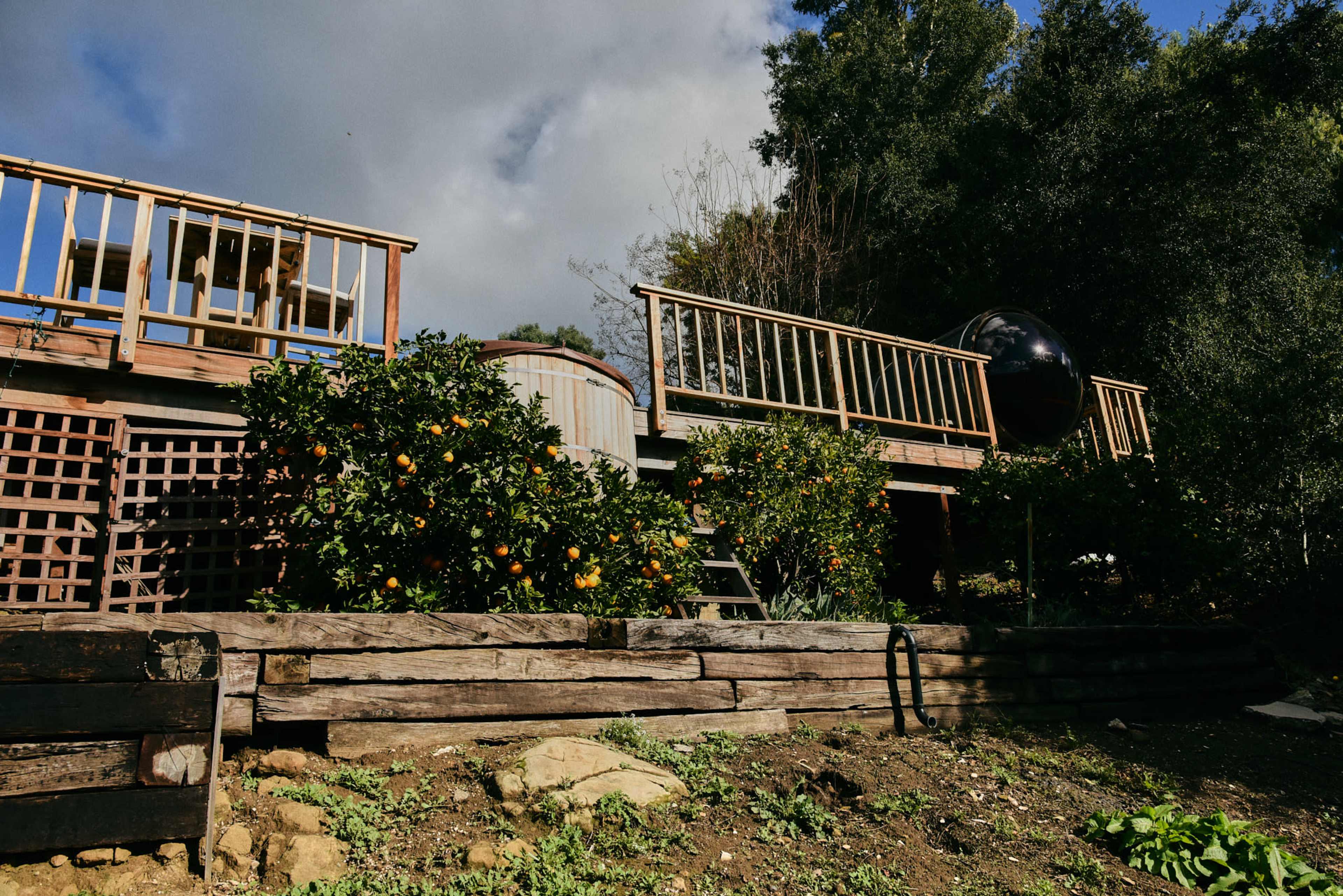 A wooden deck and raised garden with orange trees are visible in a landscape under a partly cloudy sky.