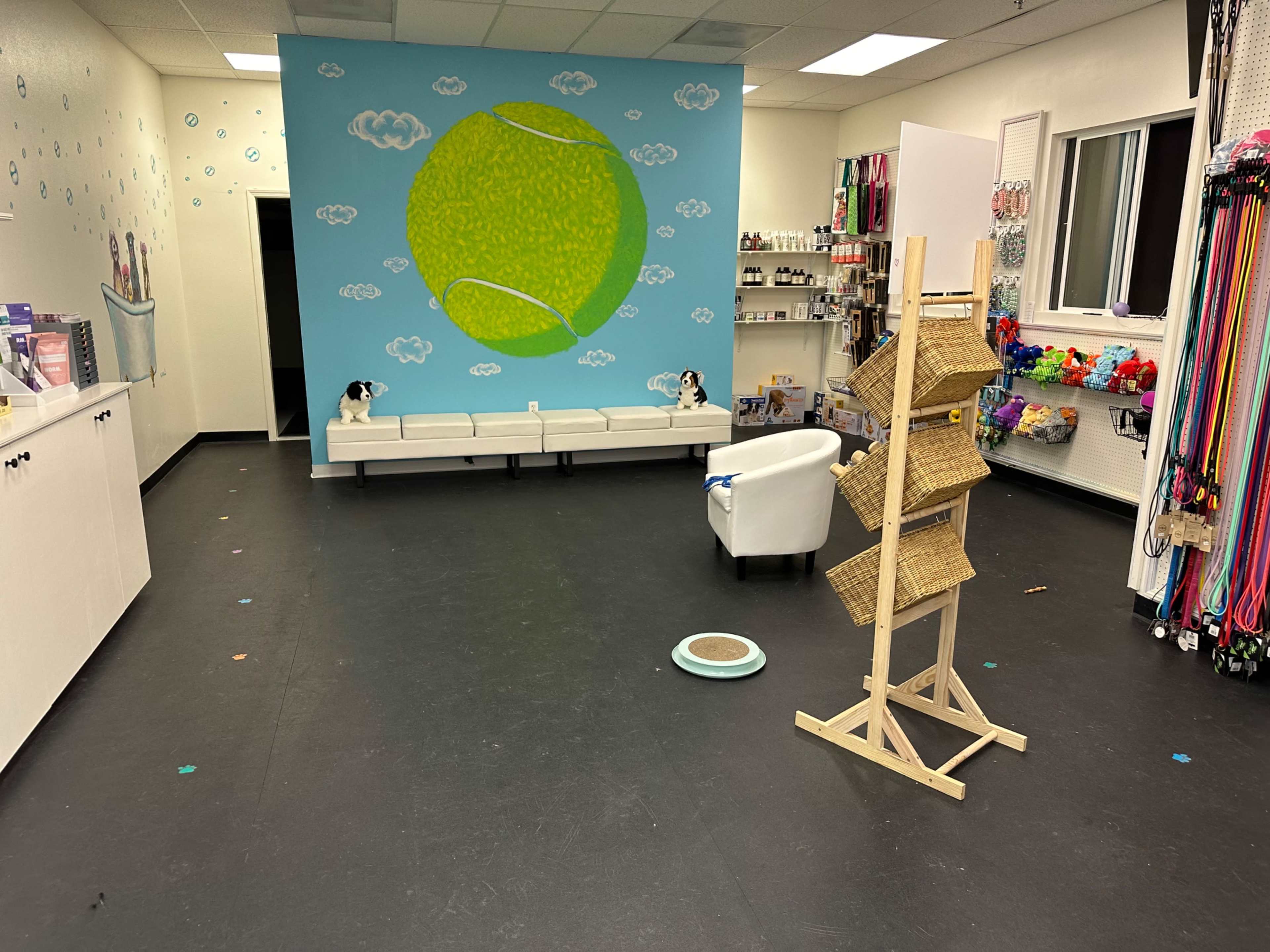 The image shows a bright and spacious room with a blue wall featuring a large tennis ball mural, along with seating and various pet supplies on display.