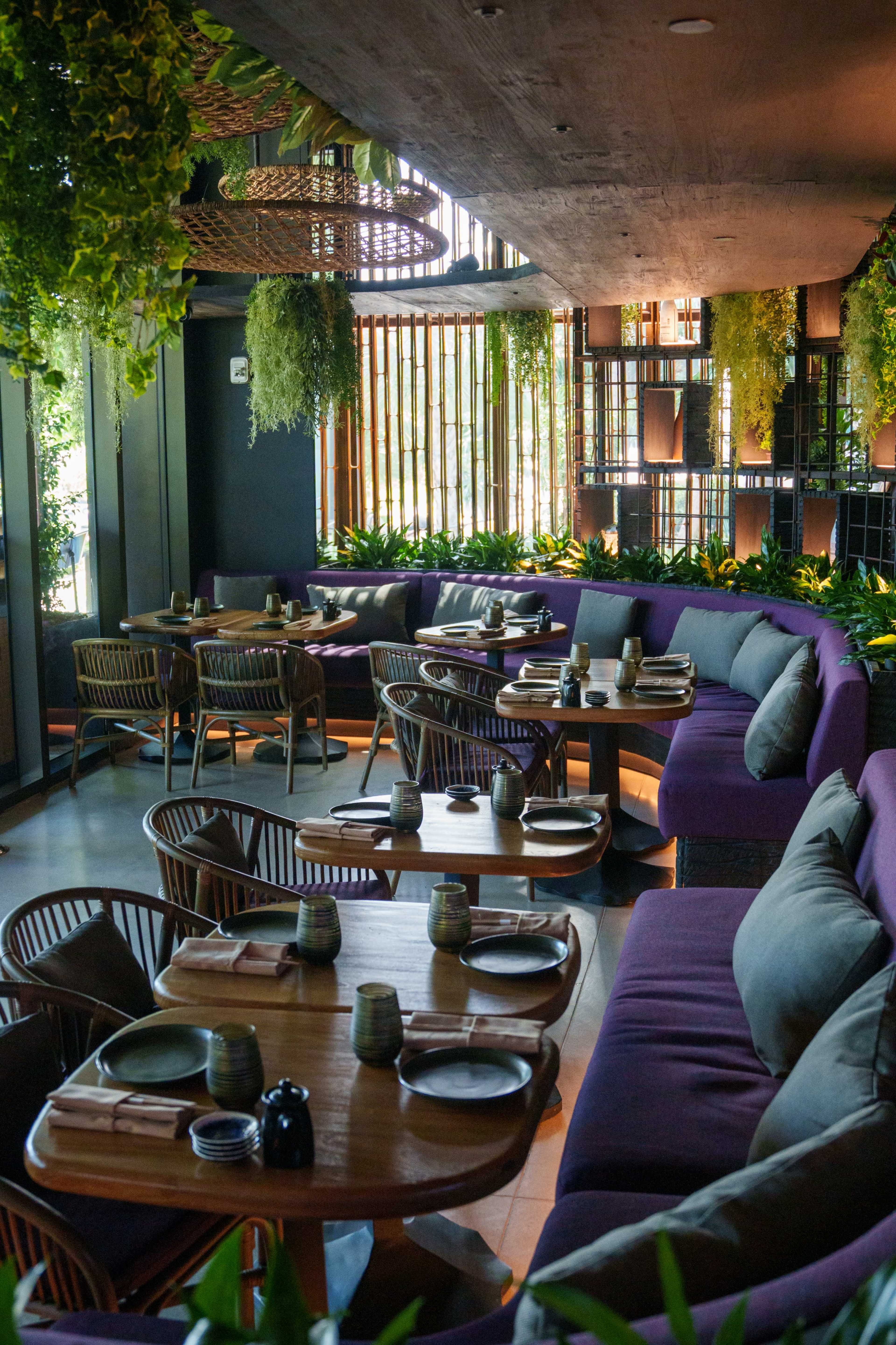 A modern restaurant interior with purple banquettes, wooden tables, and lush greenery hanging from the ceiling.