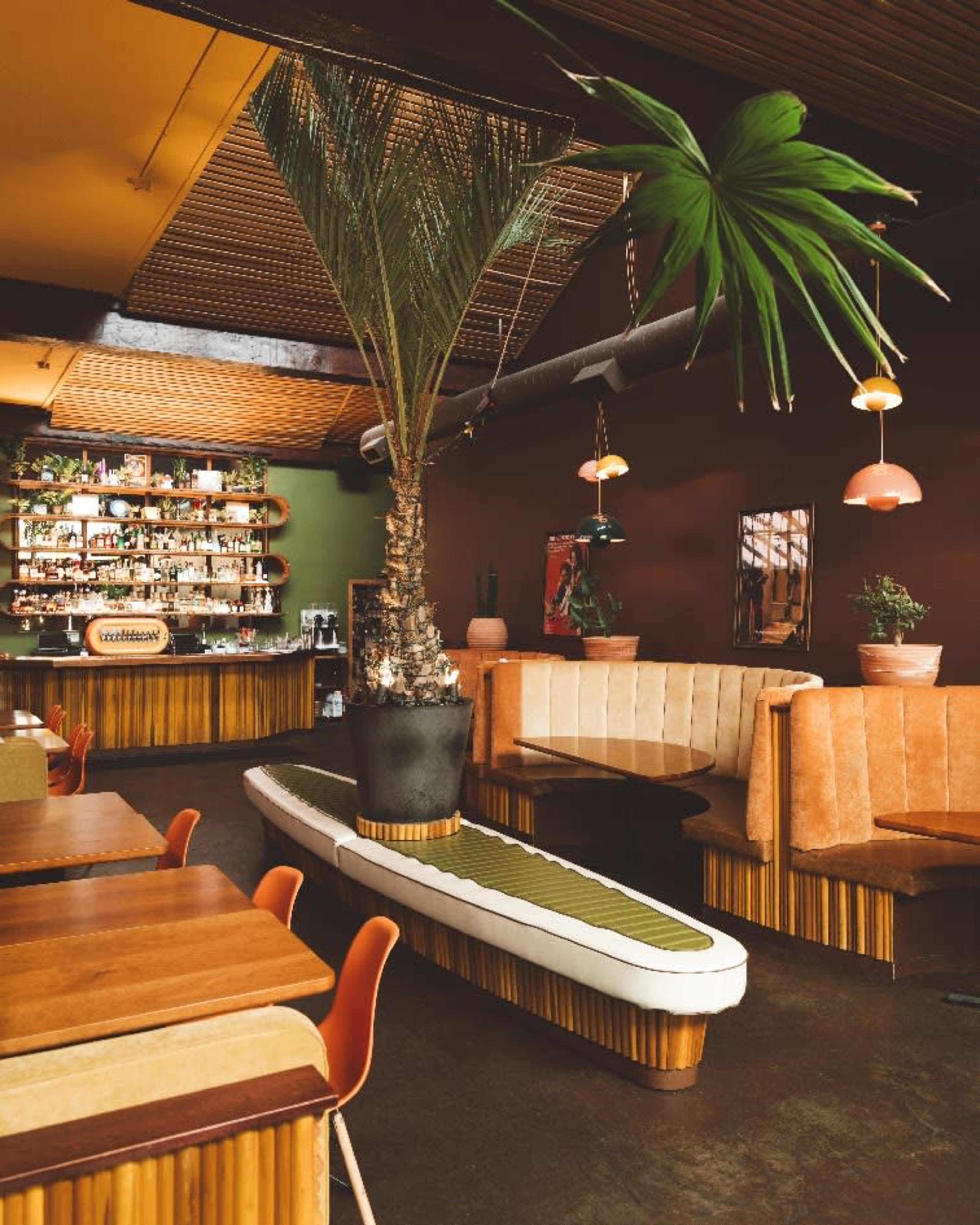 The image shows a modern restaurant interior featuring wooden tables, palm plants, and a bar with a variety of bottles arranged on shelves.