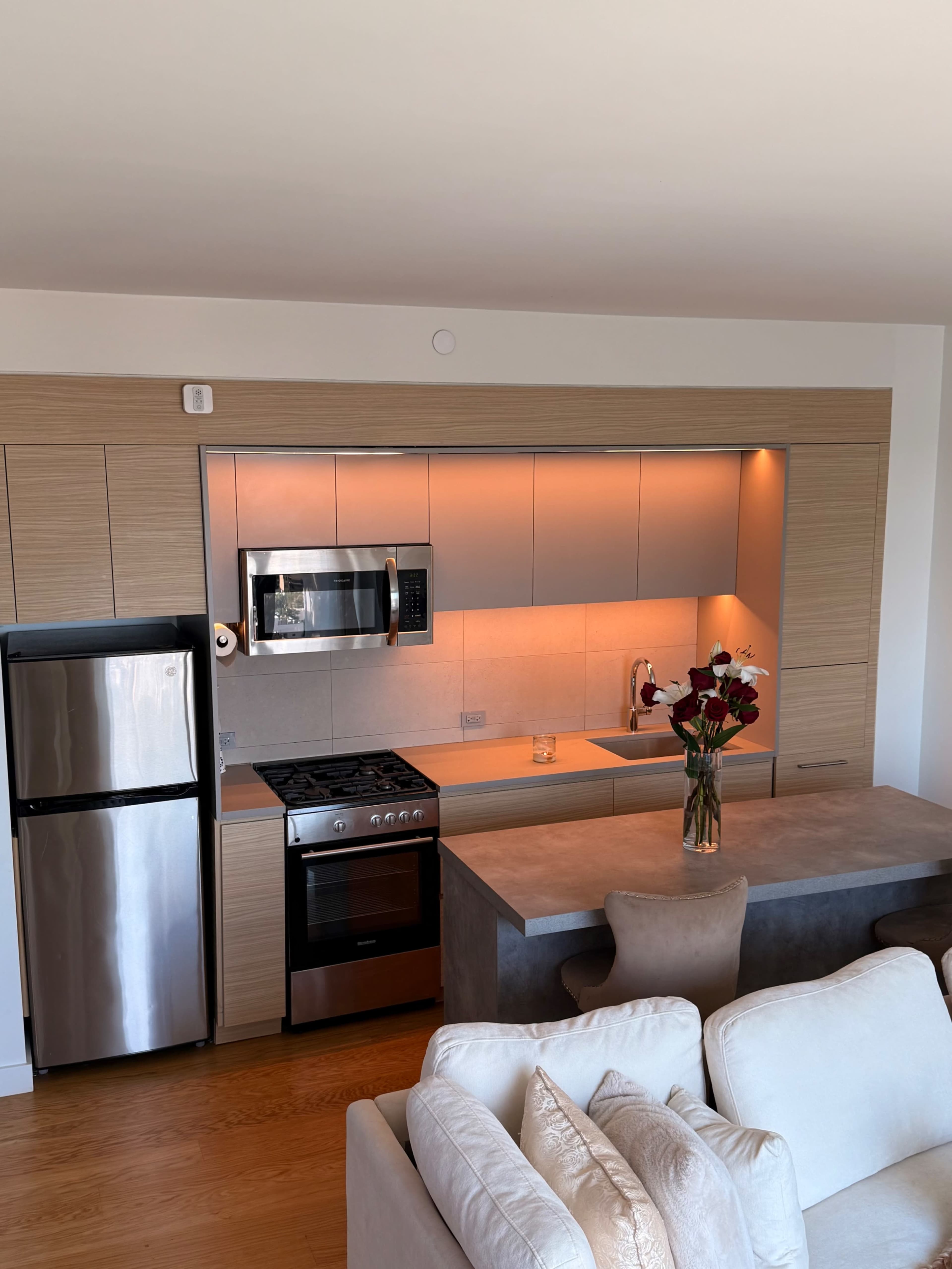 Greenpoint Luxury 1-Bedroom with Manhattan Skyline + Water Views Image in Greenpoint, Brooklyn, NY