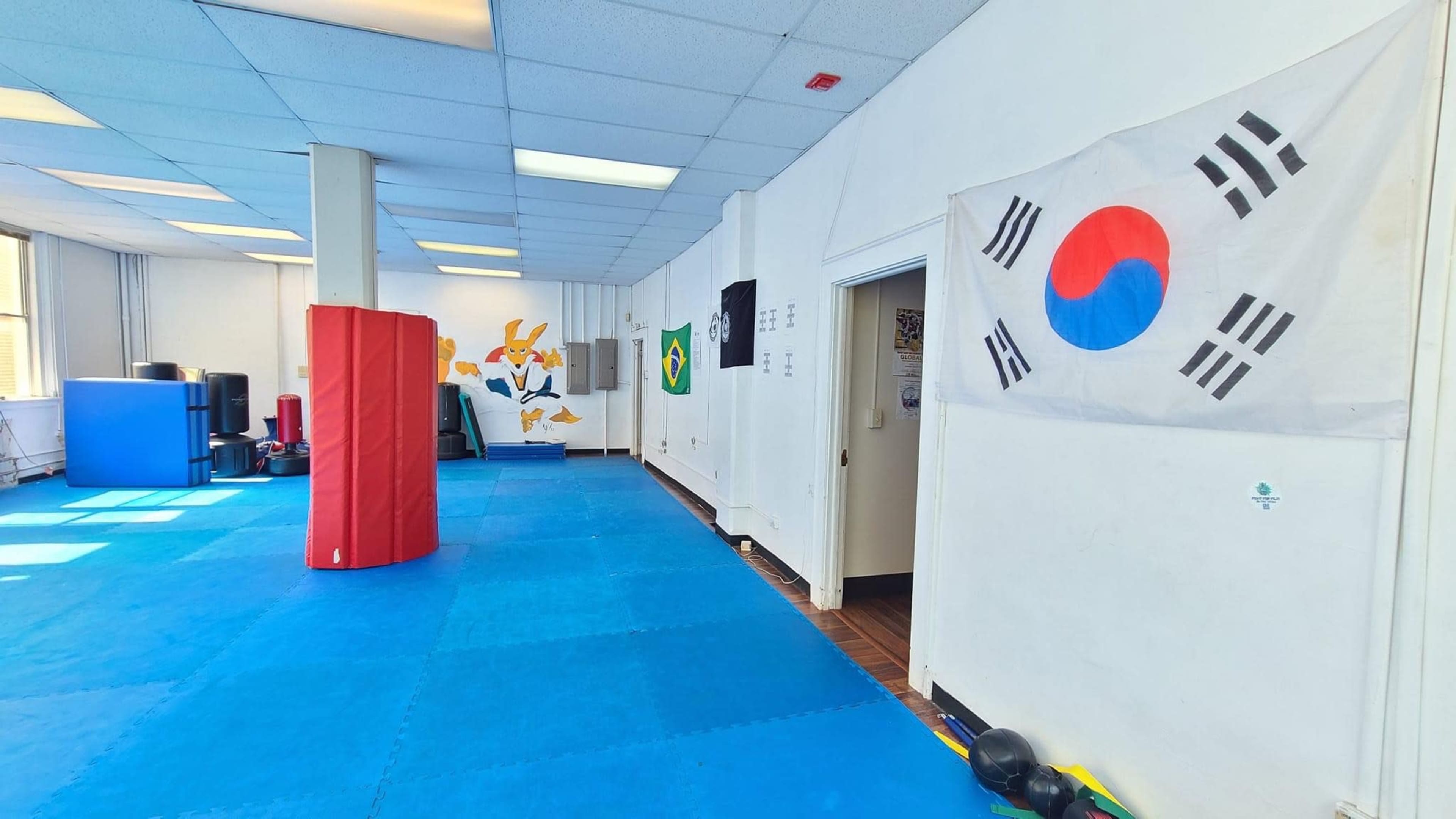 The image shows a martial arts training room with blue mats, a red training pad, and flags on the walls.