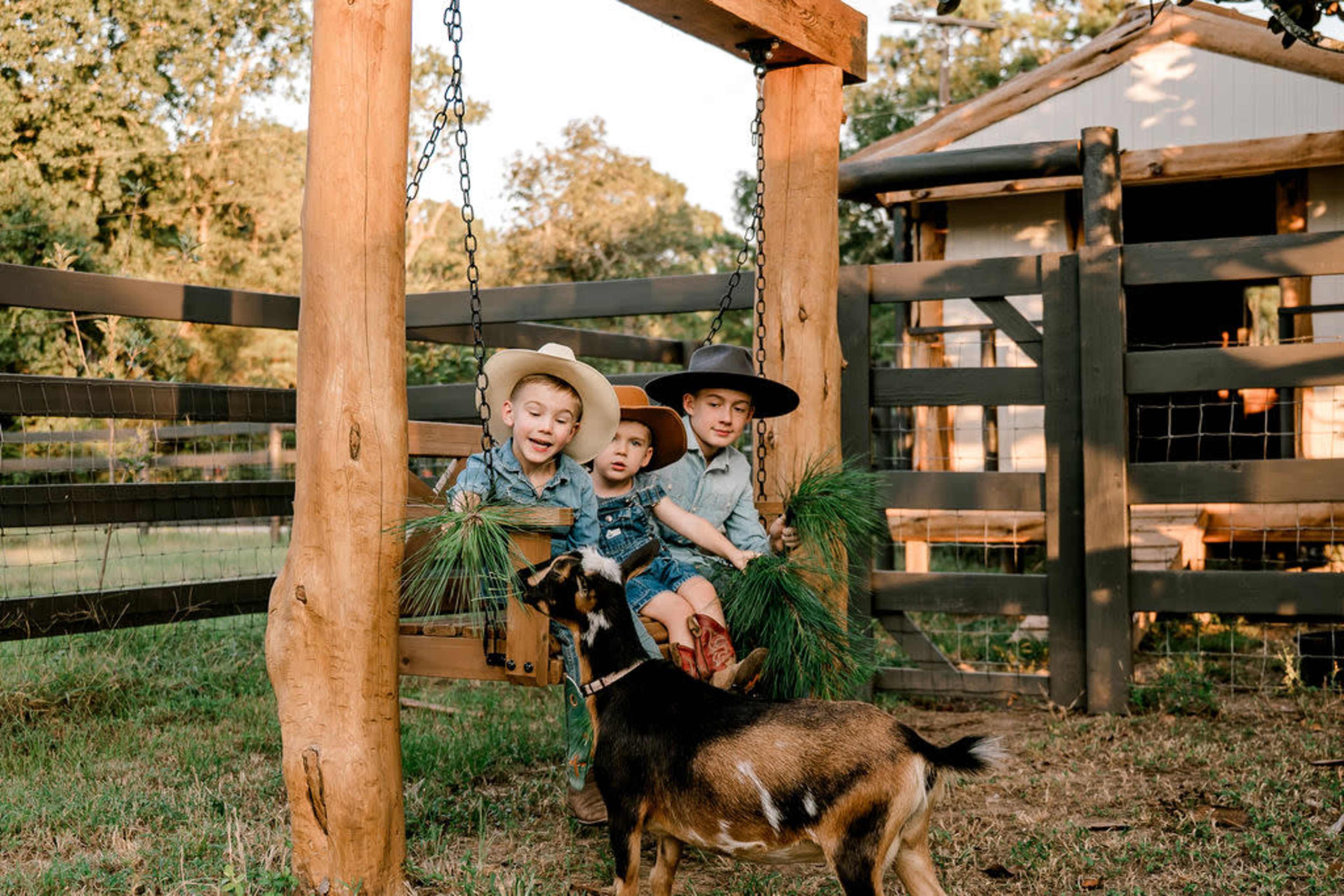 Three children sit on a wooden swing in a farm setting while a goat approaches them.