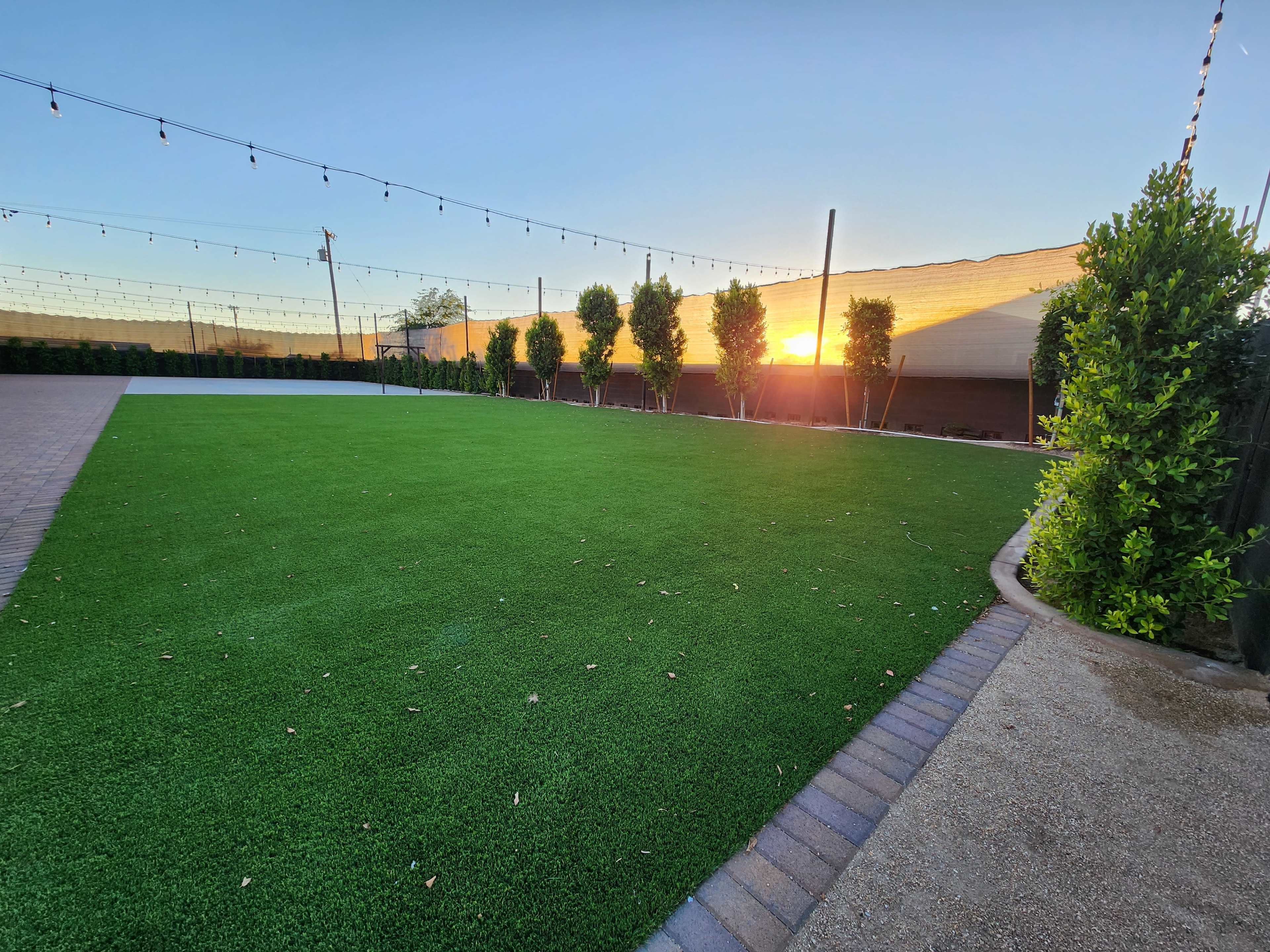 A well-maintained green lawn with a sunset in the background and decorative string lights overhead.