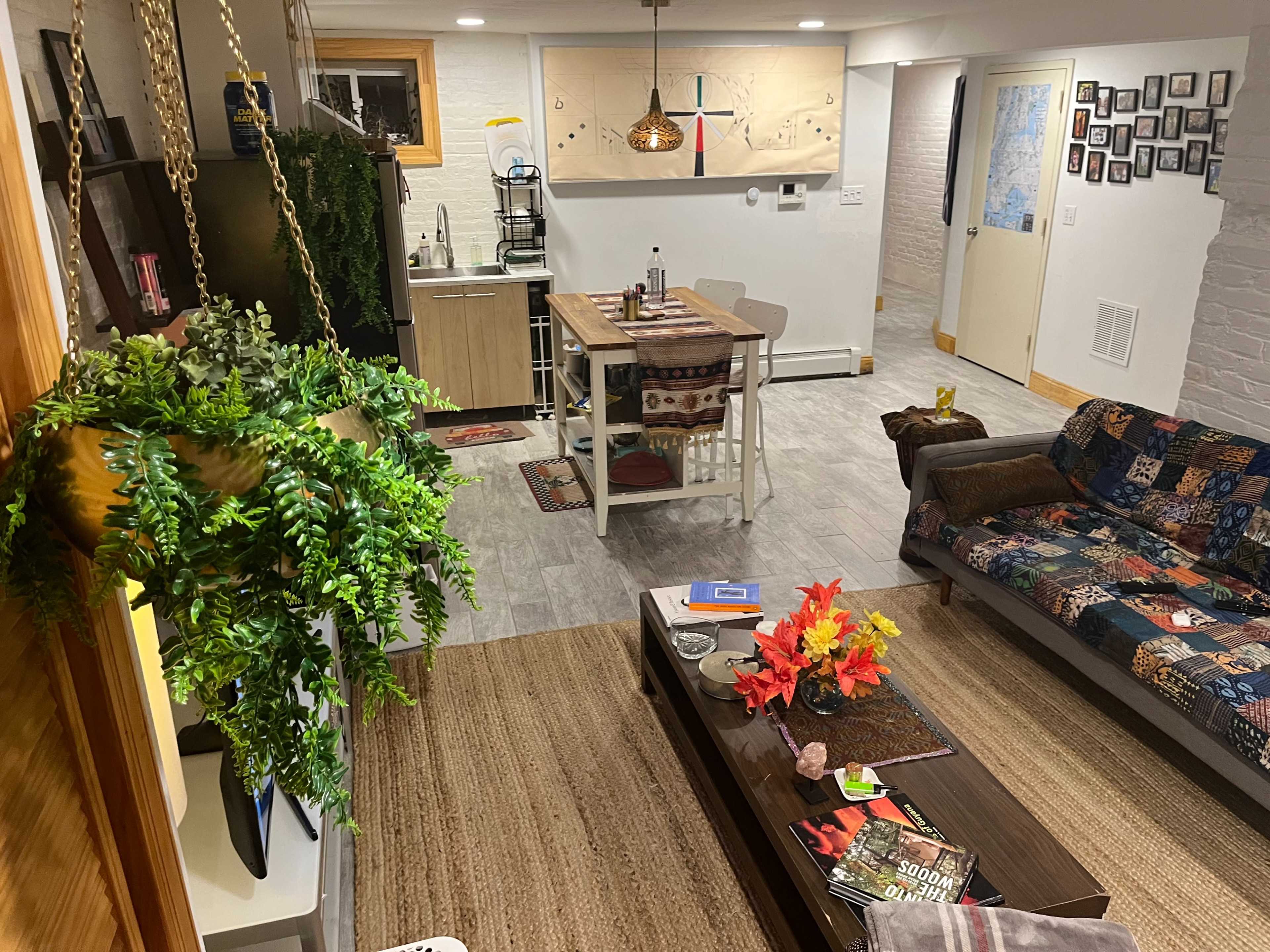 A modern living space featuring a kitchen area, a dining table, a couch, and decorative plants.