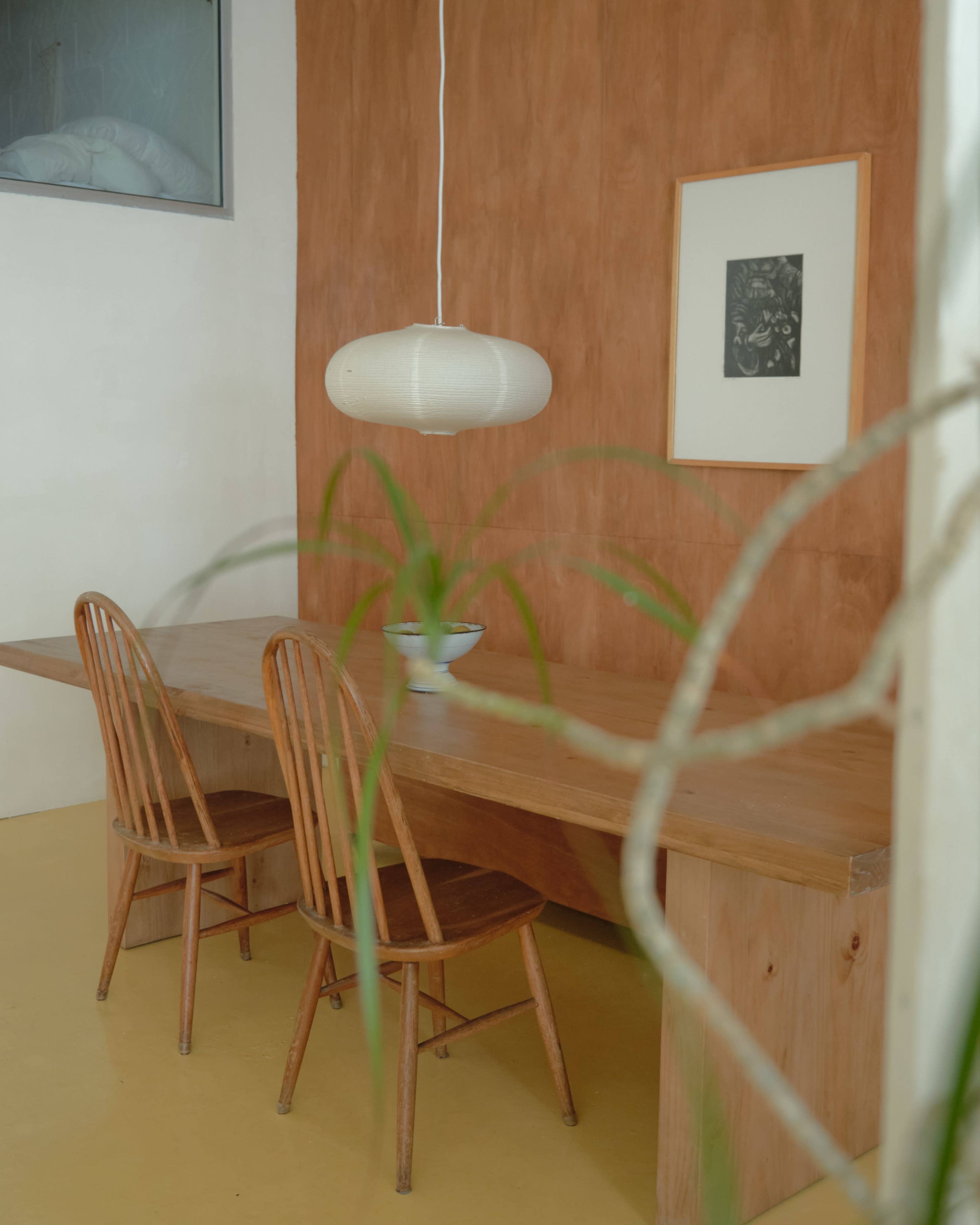 A long wooden table with two chairs sits under a pendant light in a room featuring a brown wall and a visible plant in the foreground.