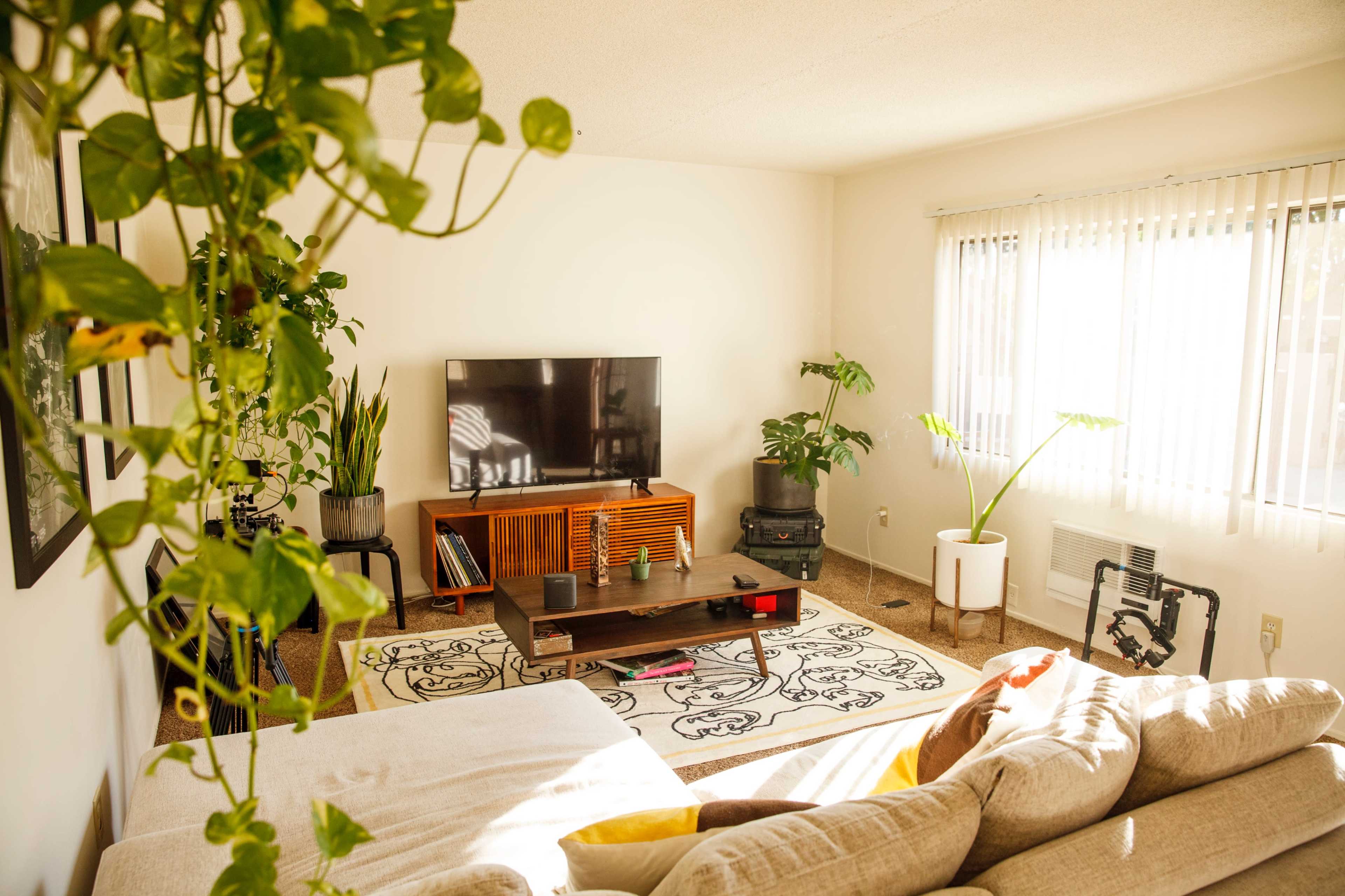 The image shows a bright living room with a television on a wooden stand, a coffee table, plants, and a large window with blinds.