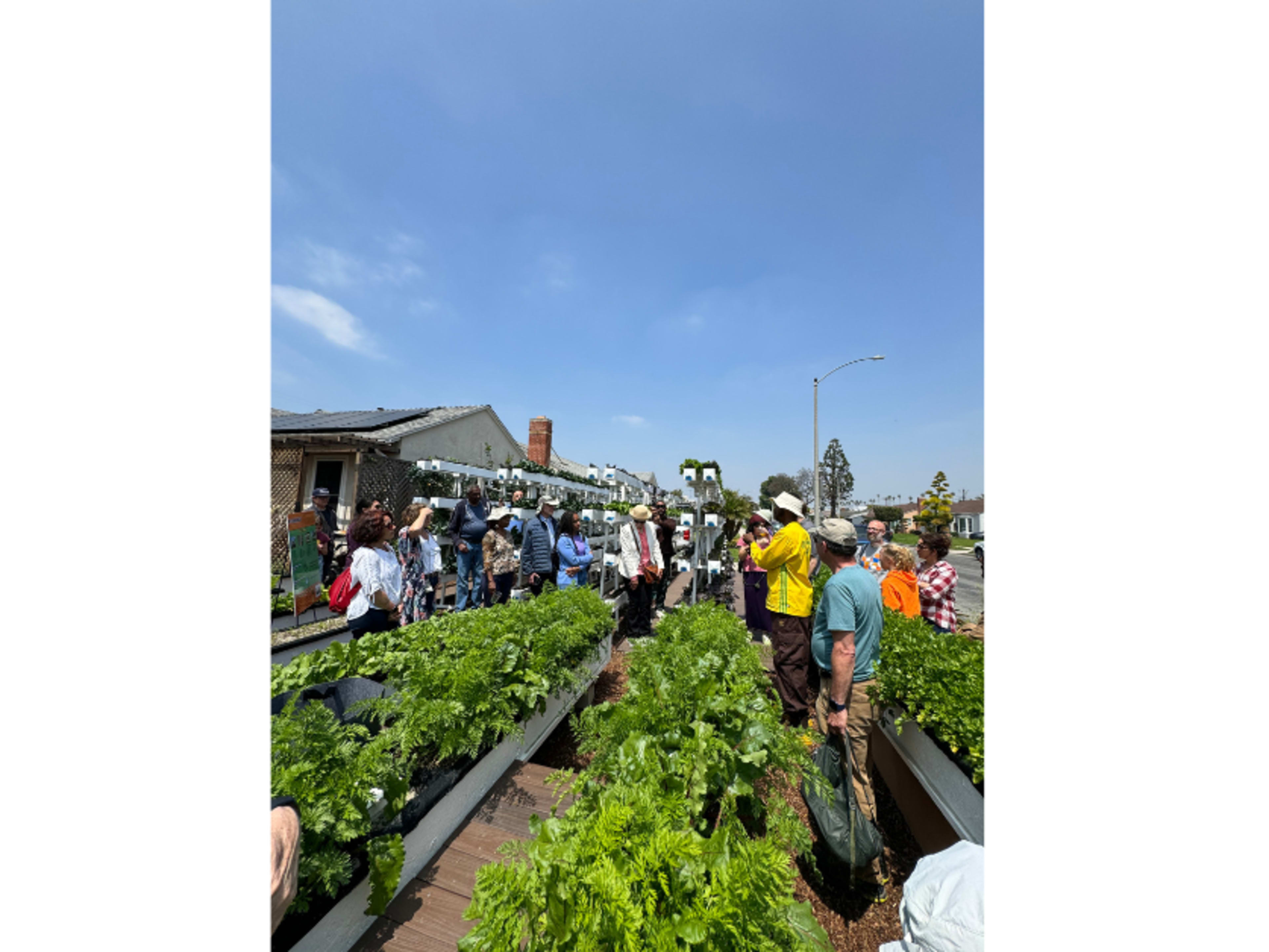 Microfarm Tour