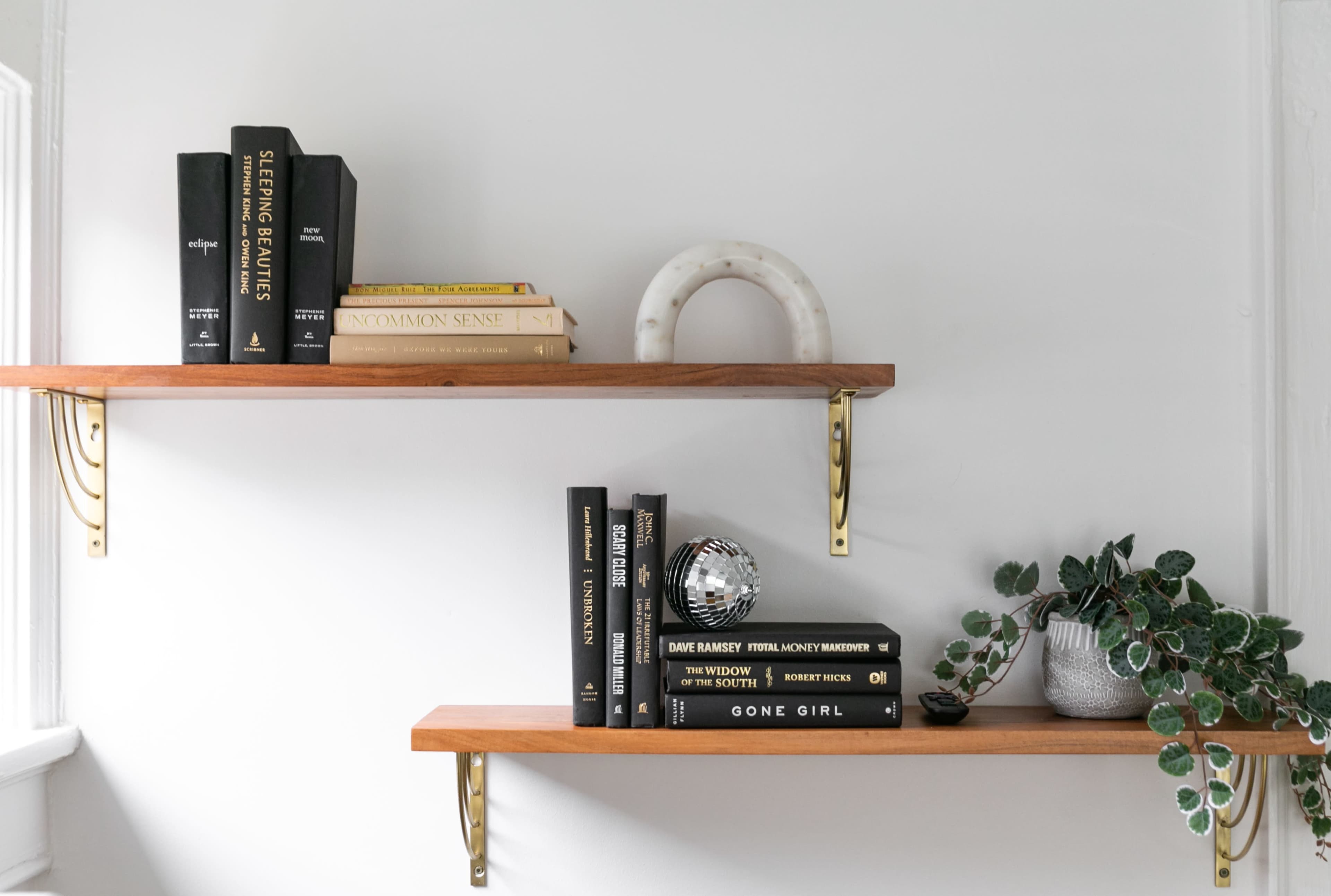Two wooden shelves mounted on a white wall, featuring black books, a decorative object, a small potted plant, and a disco ball.