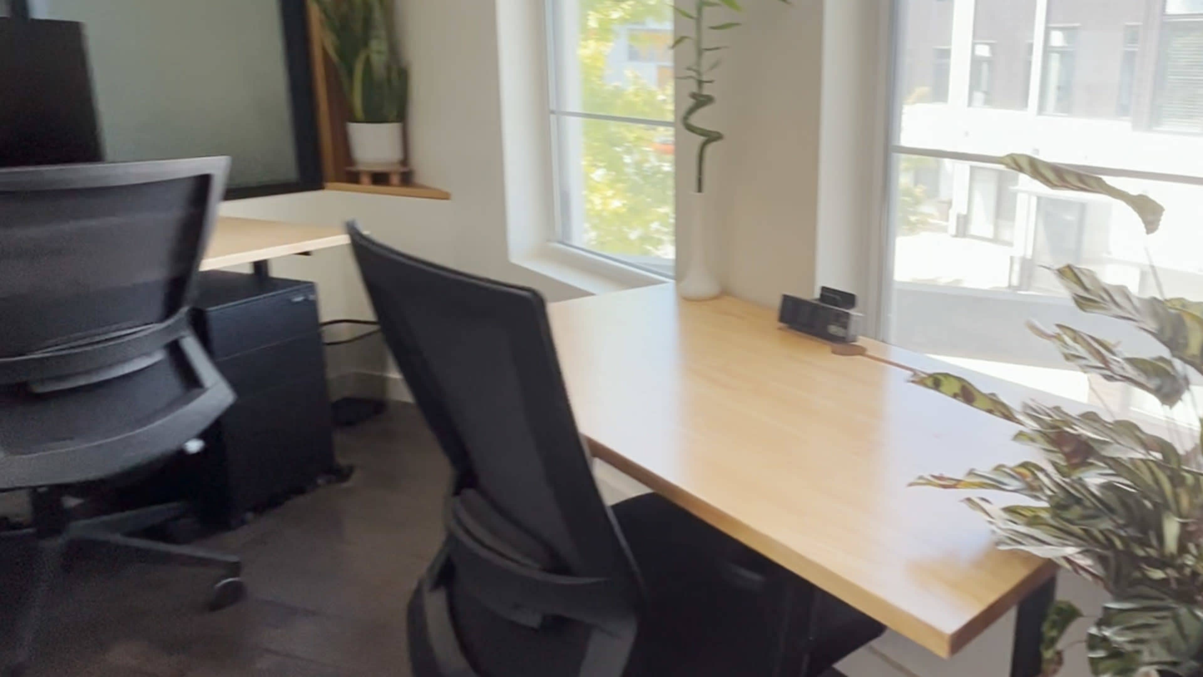 The image shows a modern office space with two desks, ergonomic chairs, and plants near large windows.