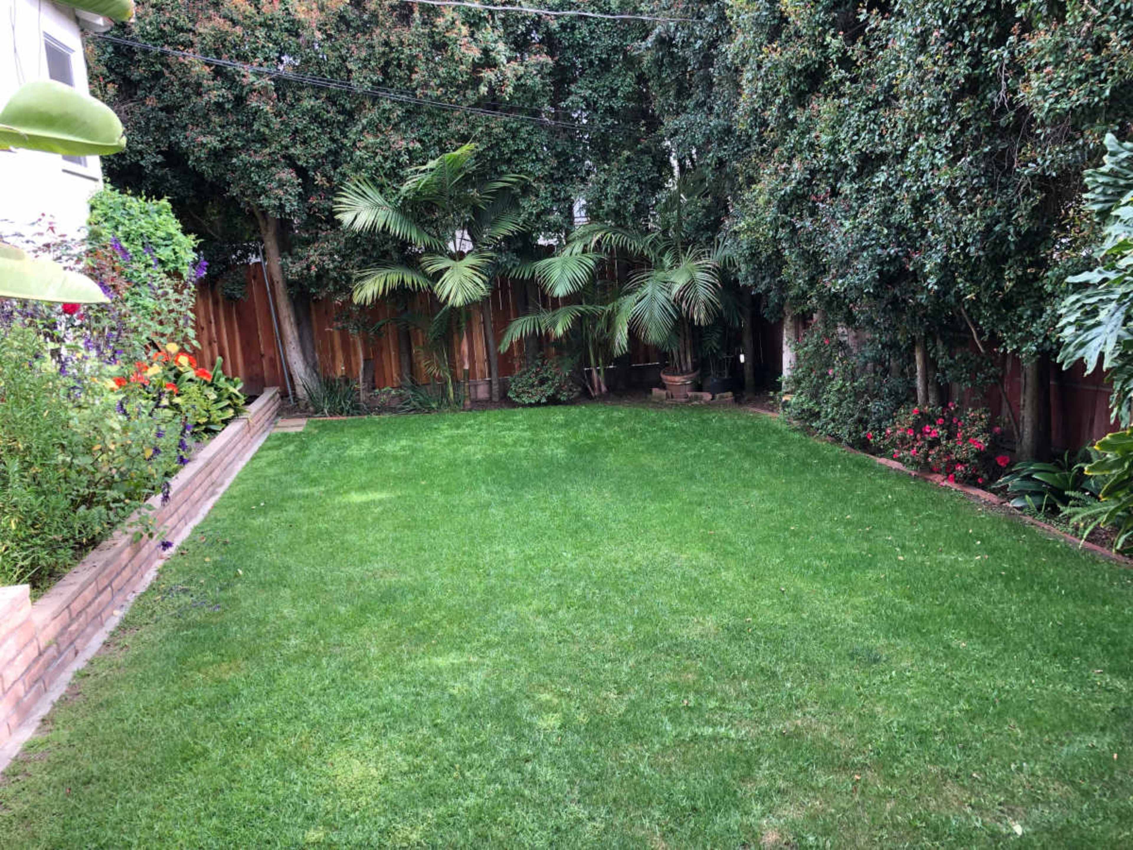 A neatly maintained backyard with a green lawn, bordered by shrubs and trees.