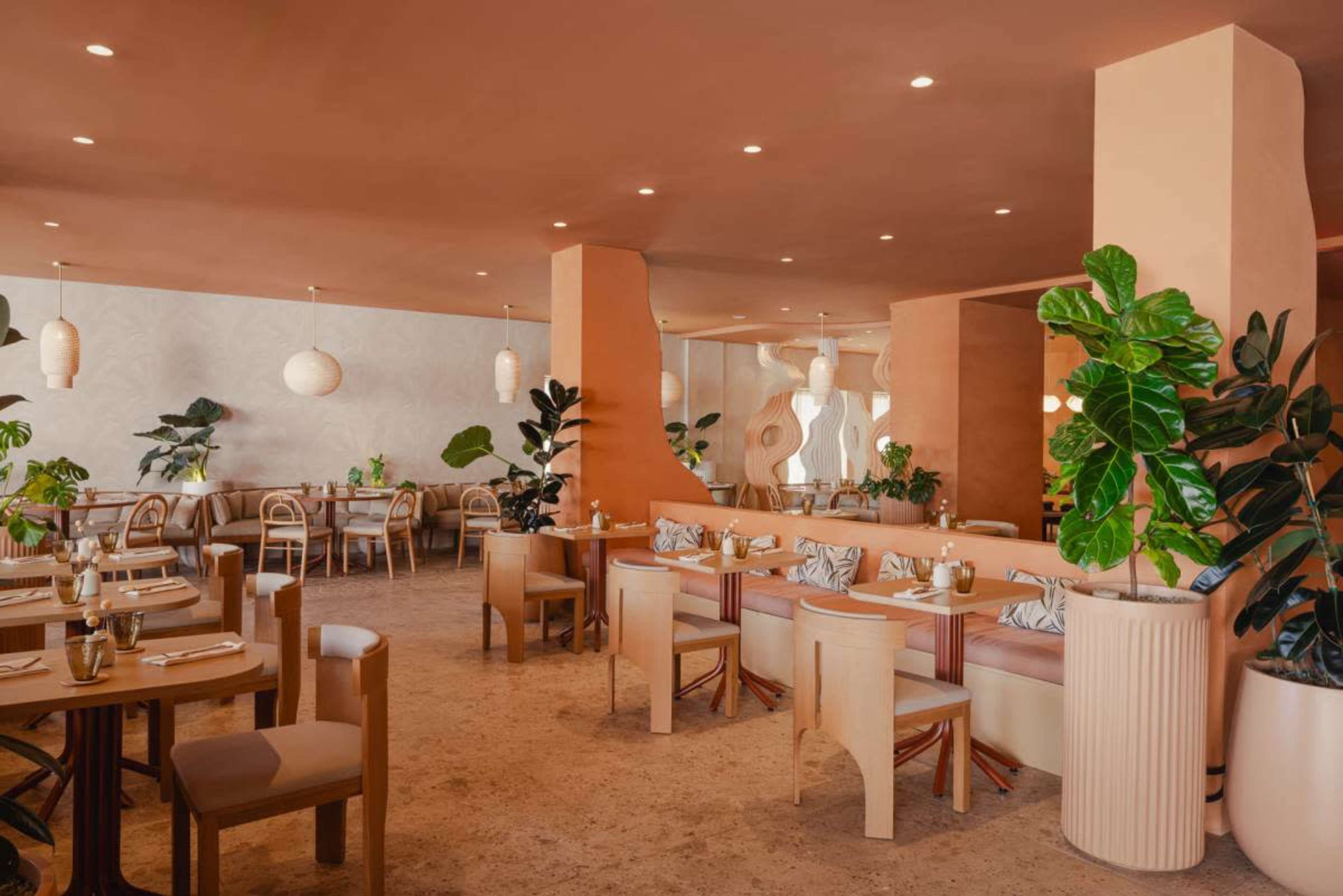 The image shows a modern restaurant interior featuring light wooden furniture, green plants, and warm earthy tones on the walls.