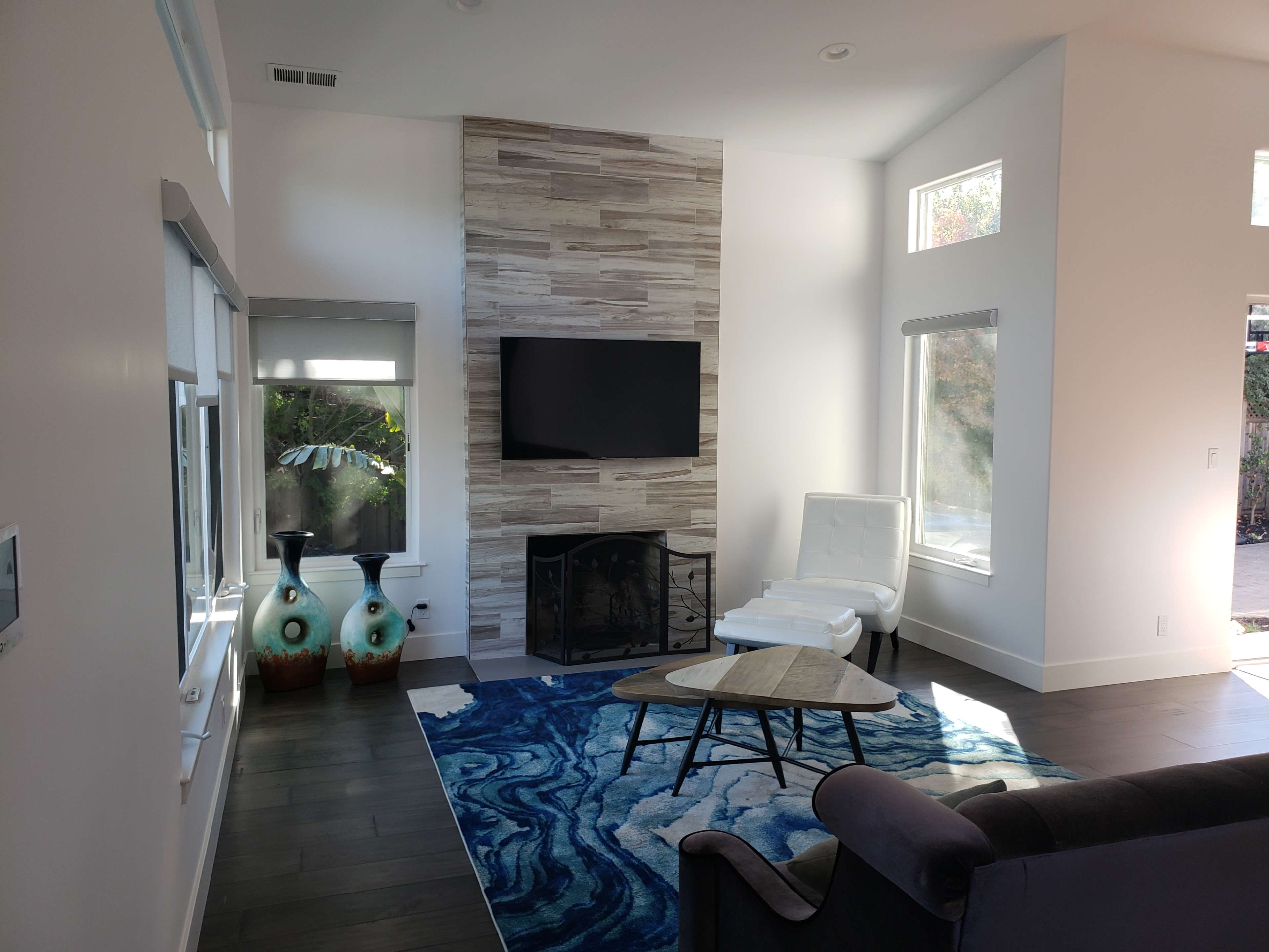 The living room features a modern design with a stone fireplace, a mounted television, and a large blue area rug.