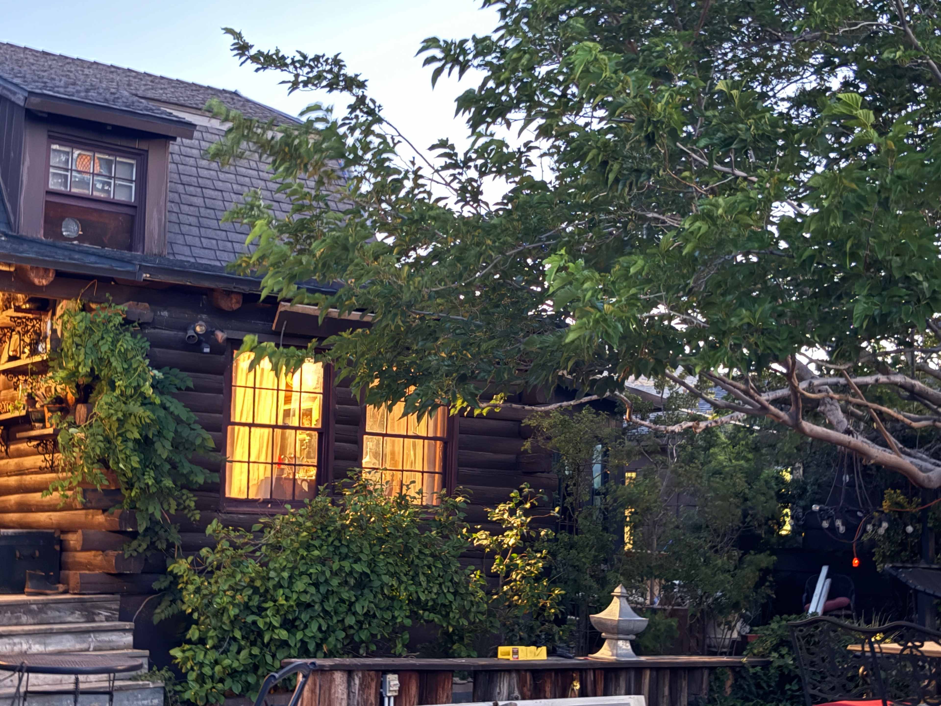 A wooden cabin with glowing windows is surrounded by lush greenery and a large tree.