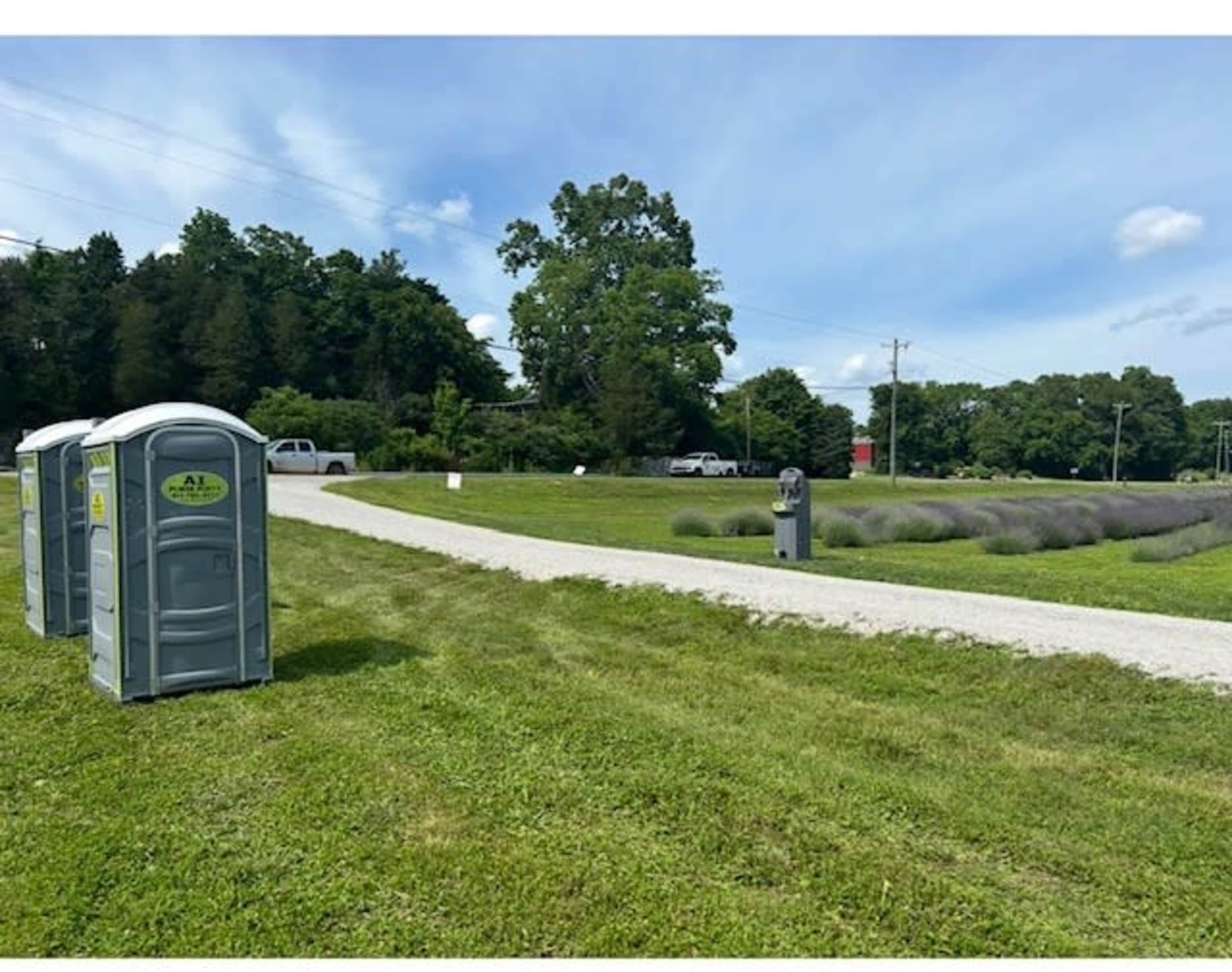 The image shows a row of portable toilets along a gravel path in a grassy area with trees and a lavender field in the background.