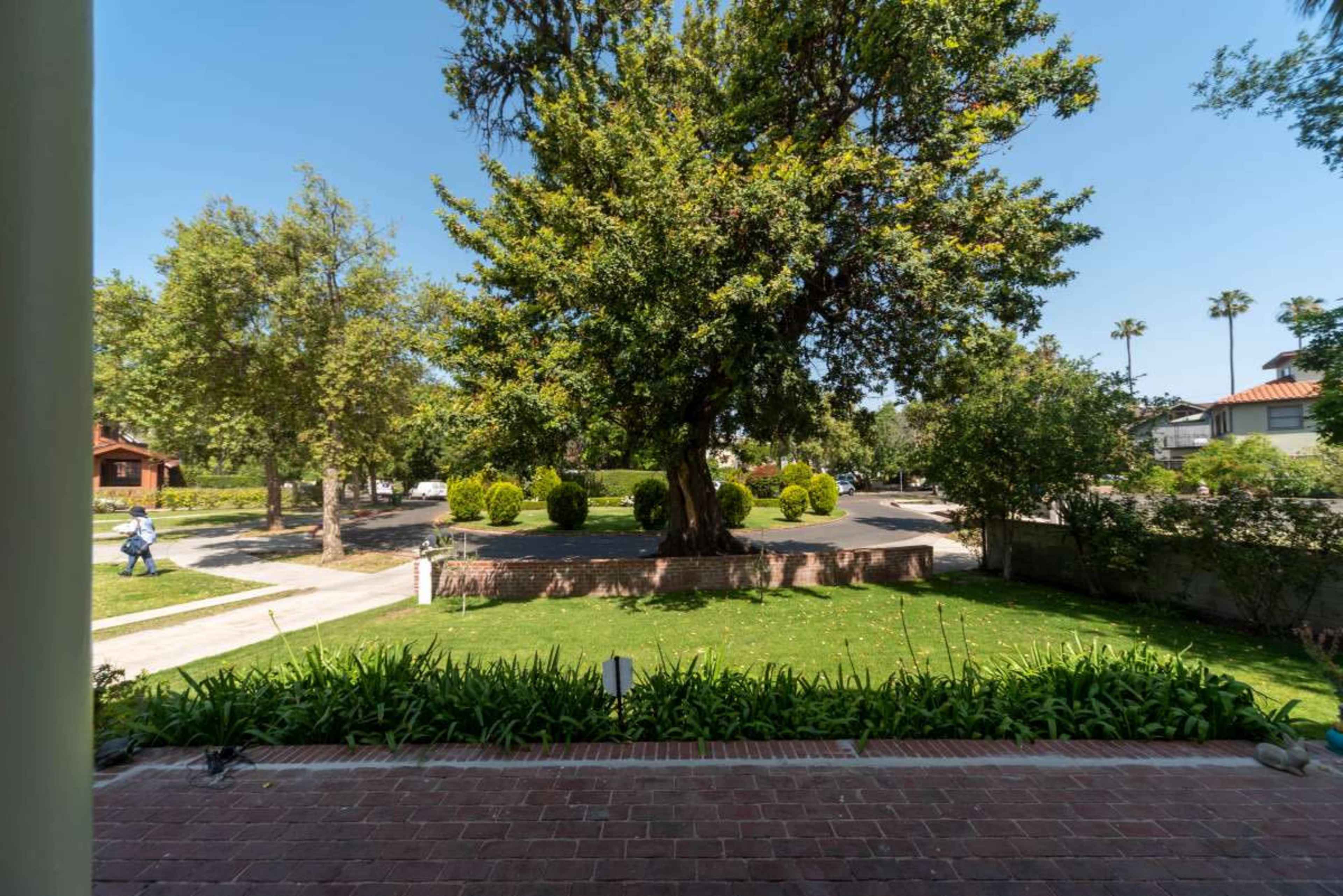 A view from a porch overlooking a front yard with a large tree, bordered by a low brick wall and sidewalk, with houses and palm trees visible in the distance.
