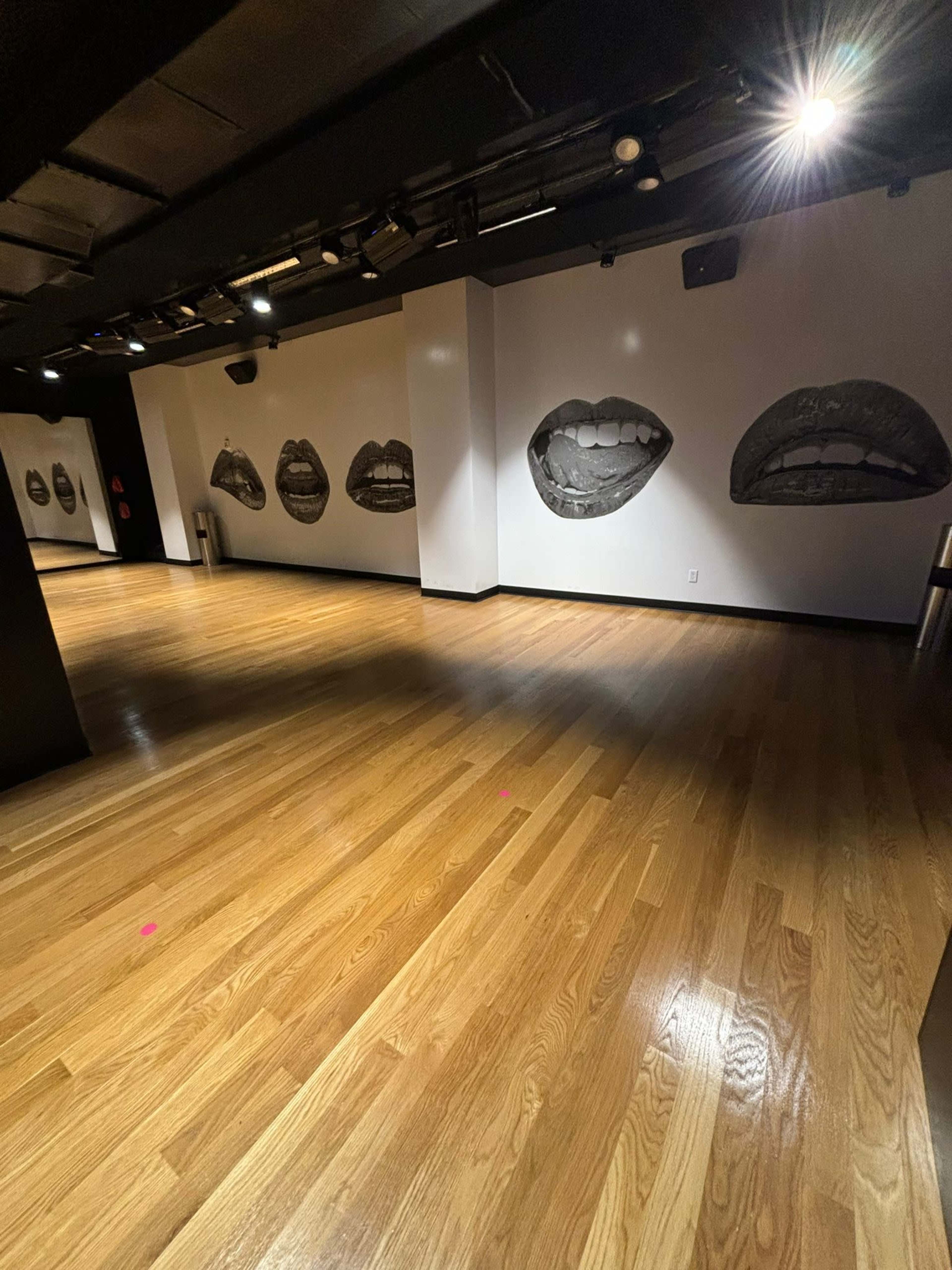 Dance Fitness Studio Image in Williamsburg, Brooklyn, NY