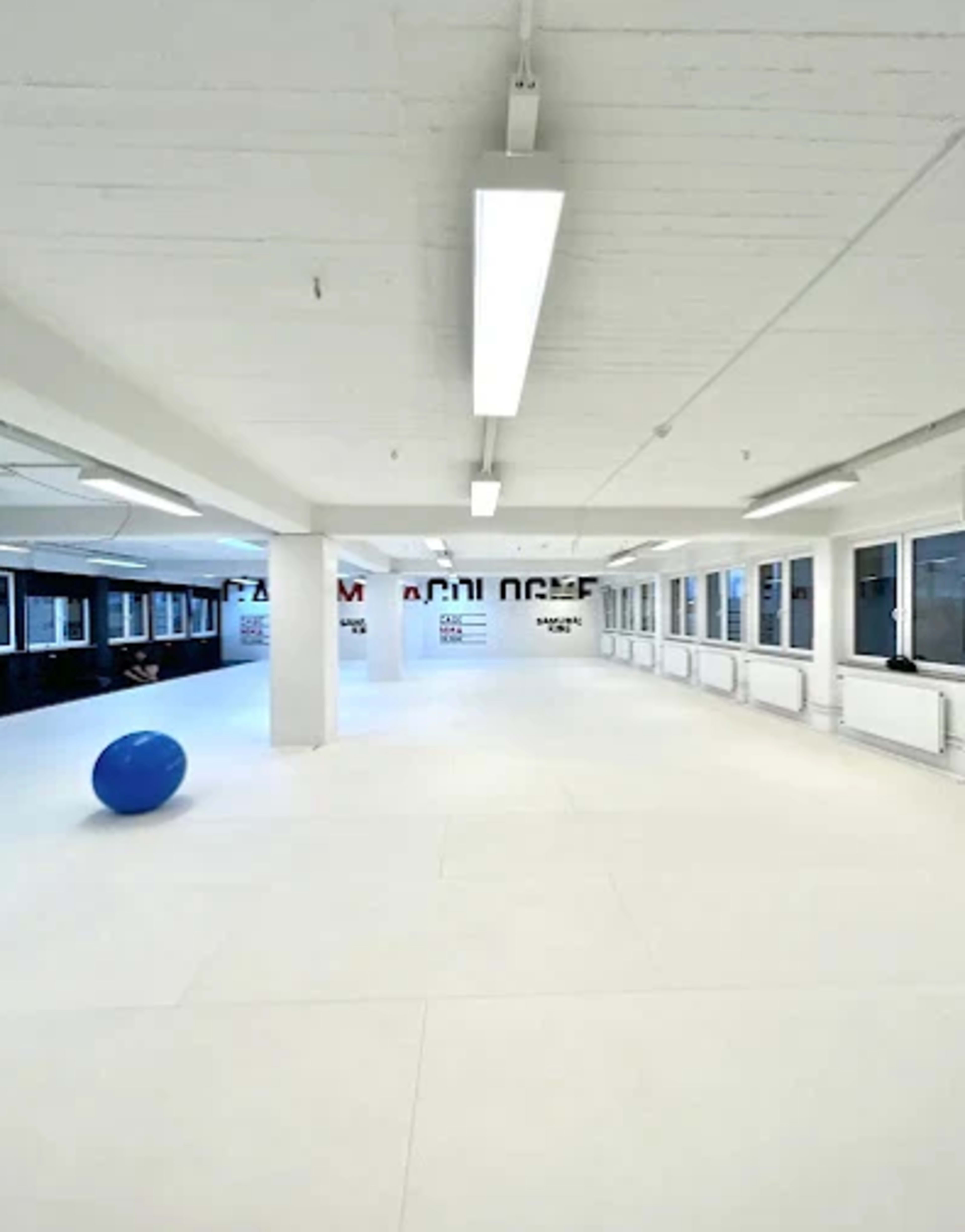 The image shows a spacious, empty room with white walls and floors, featuring large windows and a blue exercise ball positioned on the floor.