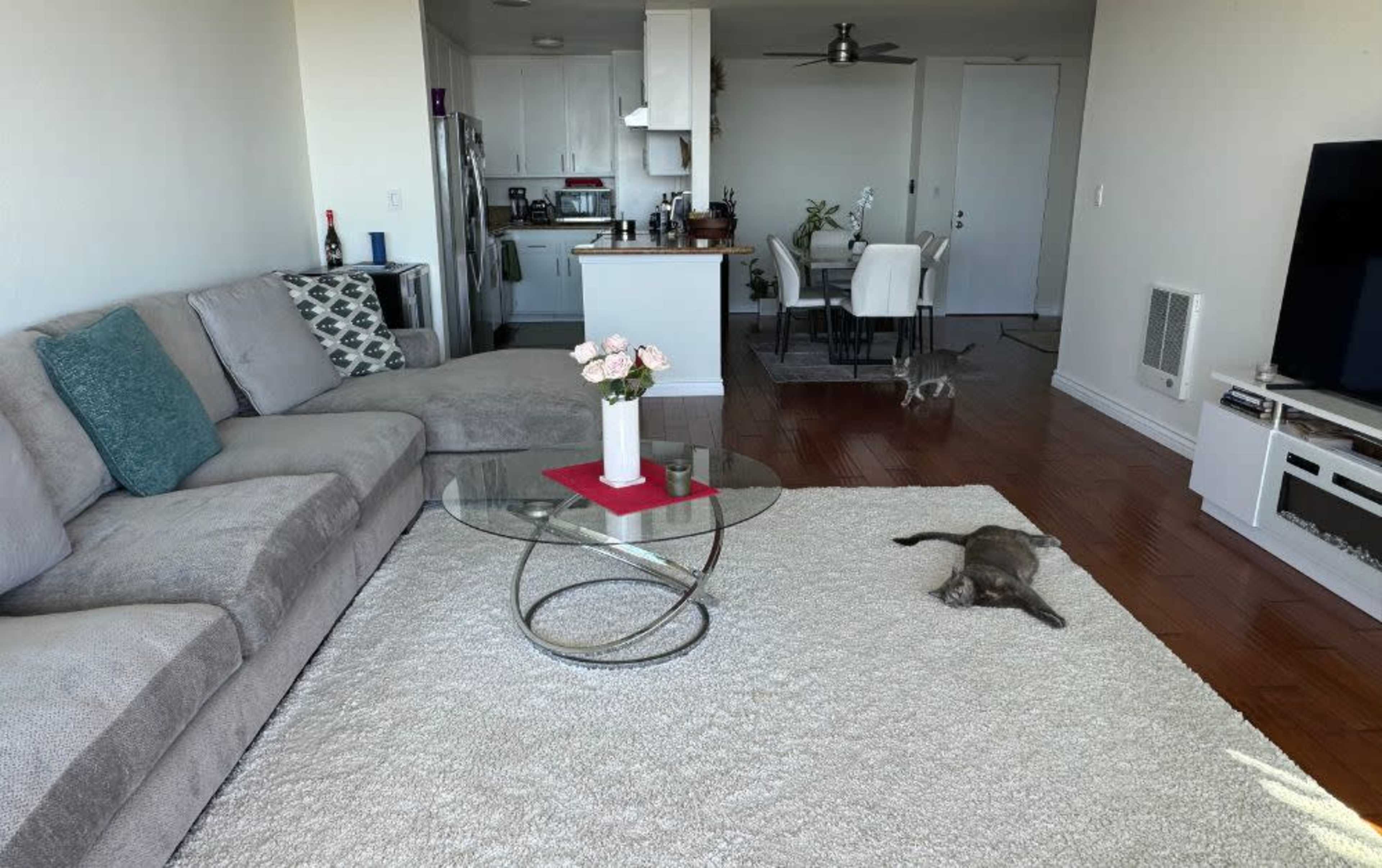 Breathtaking ocean view Image in Rancho Palos Verdes, Rancho Palos Verdes, CA