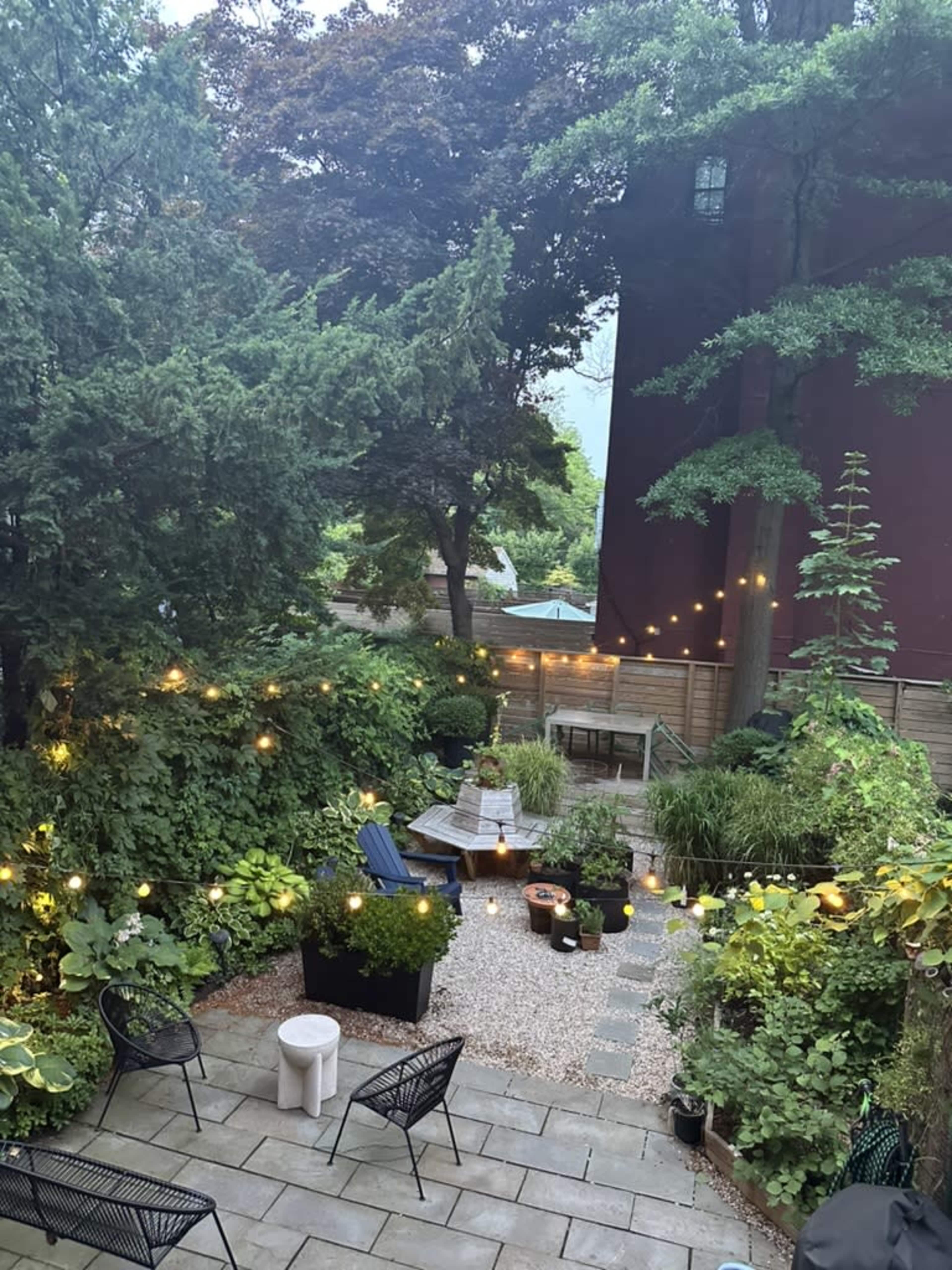 A garden with stone pathways, various plants, and string lights hanging between trees, surrounded by seating areas.